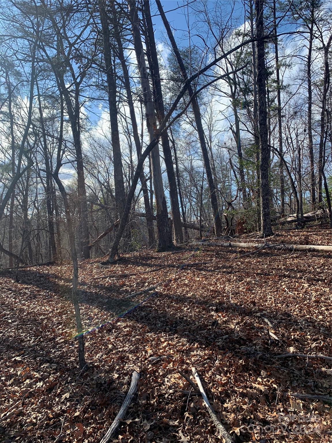 Acreage at 0 N Lynch Road SW, Mill Spring, photo 3 of 17