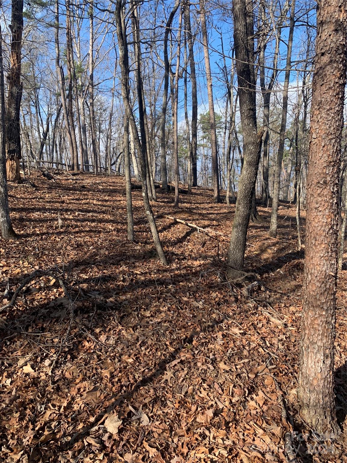 Acreage at 0 N Lynch Road SW, Mill Spring, photo 4 of 17