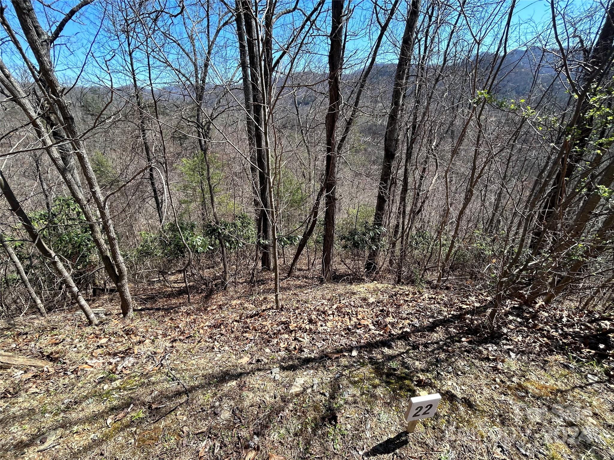 Lot at 275 Overlook Lane, Marshall, photo 2 of 22