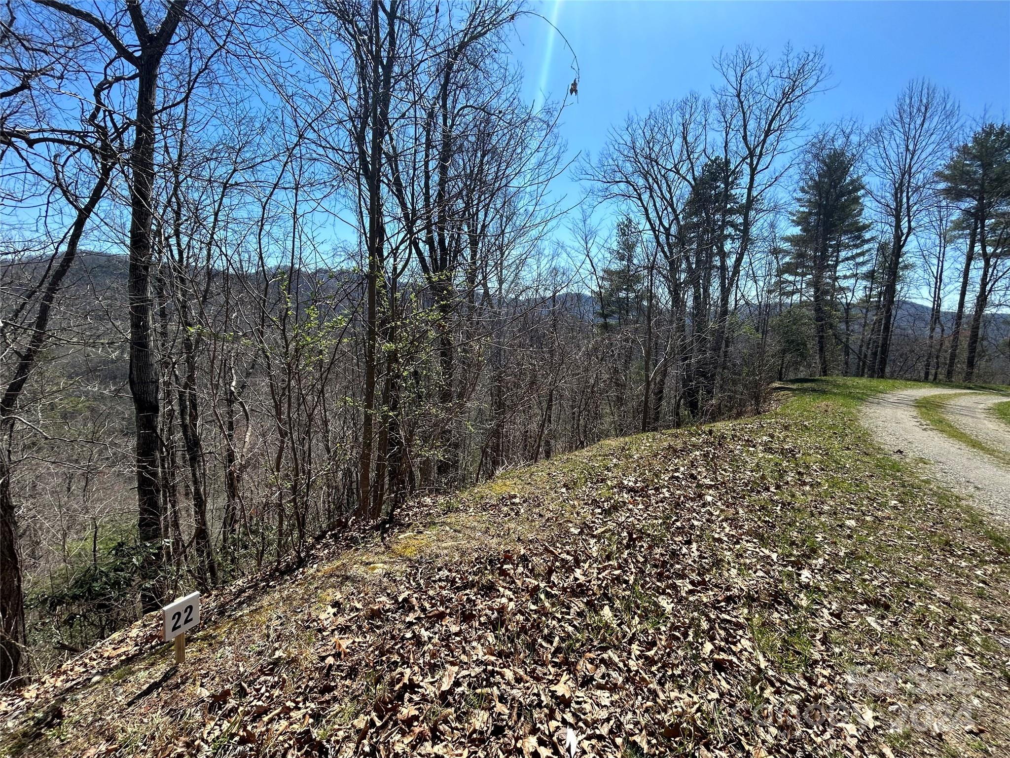 Lot at 275 Overlook Lane, Marshall, photo 4 of 22