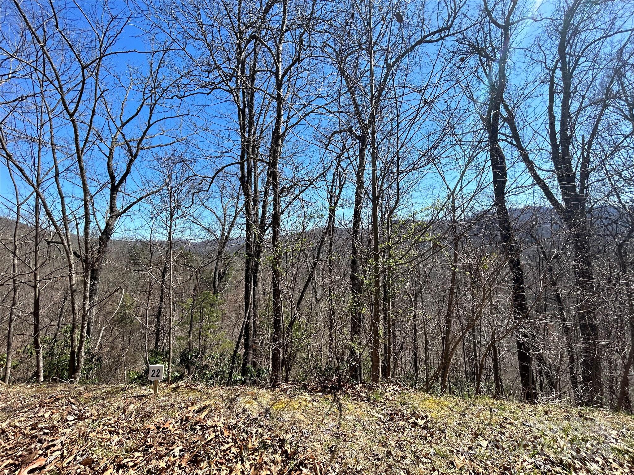 Lot at 275 Overlook Lane, Marshall, photo 5 of 22