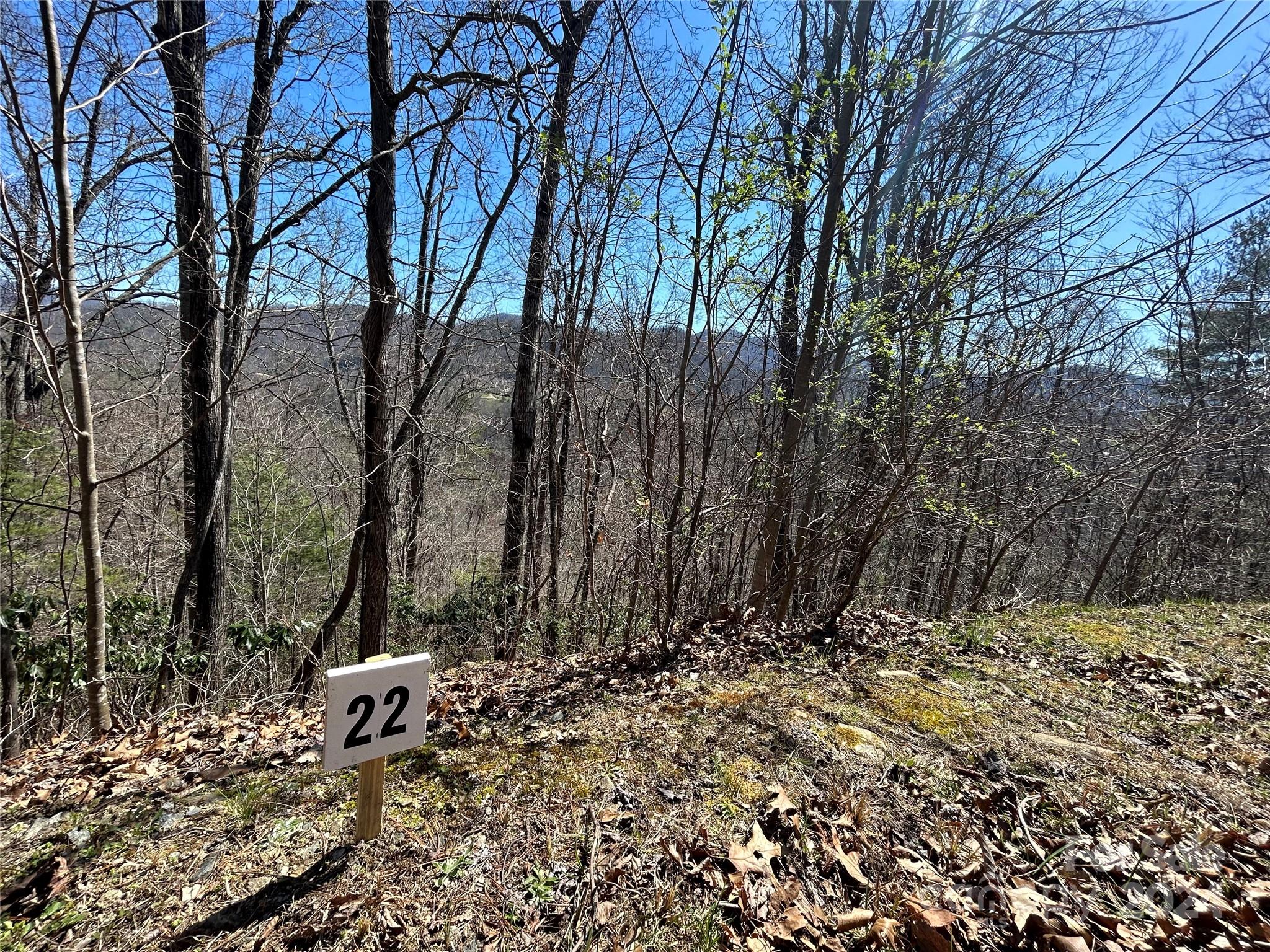 Lot at 275 Overlook Lane, Marshall, photo 6 of 22
