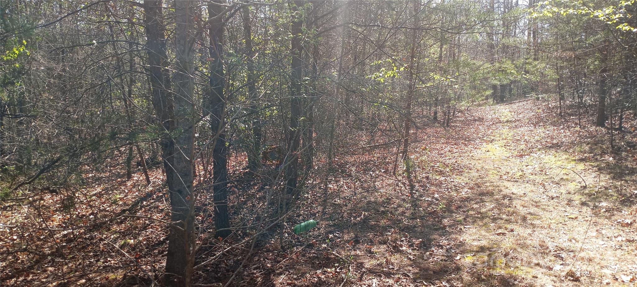 Lot at Lot 4 Lane Street, Morganton, photo 3 of 5