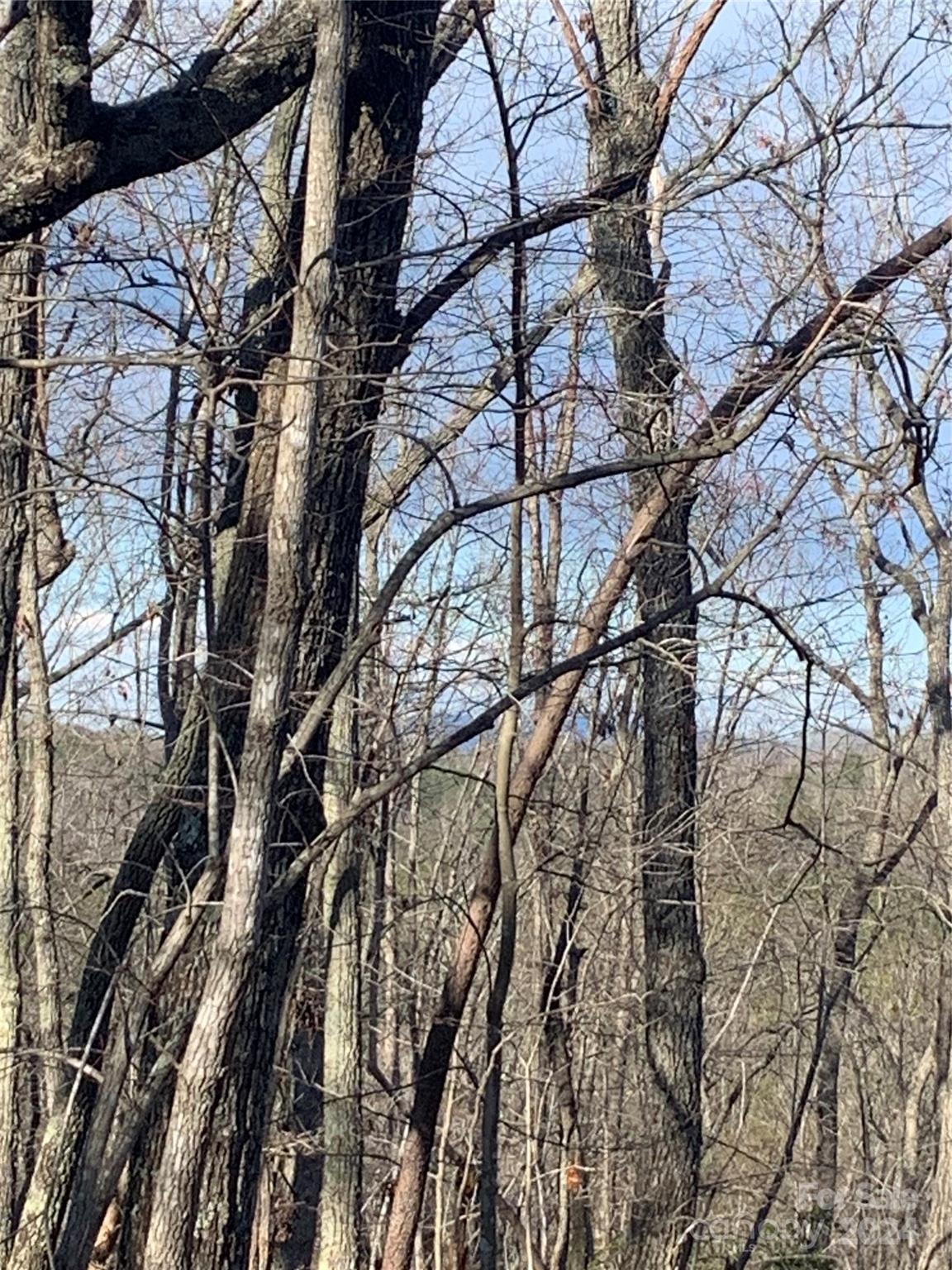 Acreage at 0 N Lynch Road SW, Mill Spring, photo 7 of 17