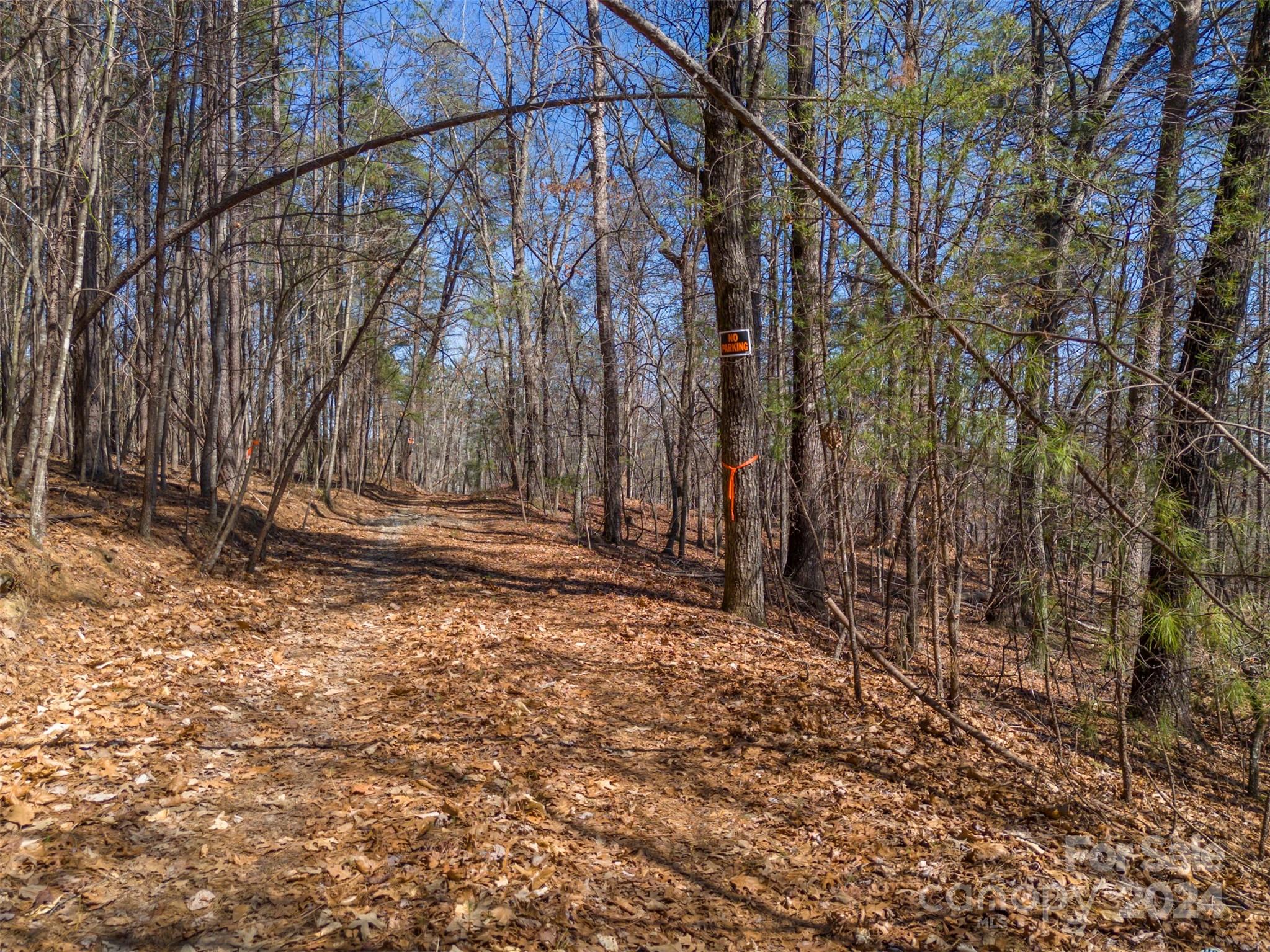 Acreage at 0 N Lynch Road SW, Mill Spring, photo 9 of 17