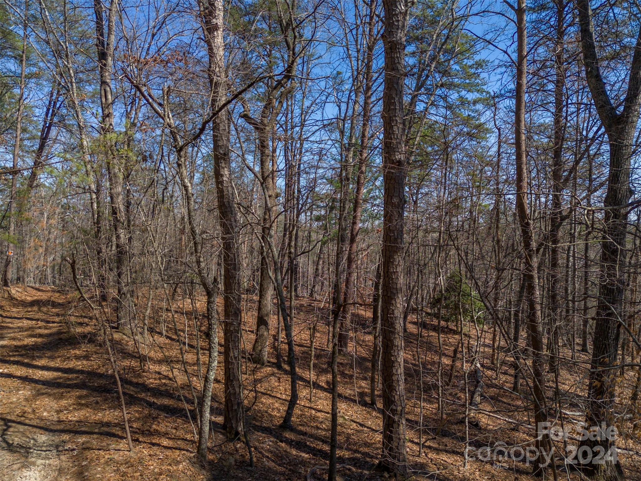 Acreage at 0 N Lynch Road SW, Mill Spring, photo 10 of 17