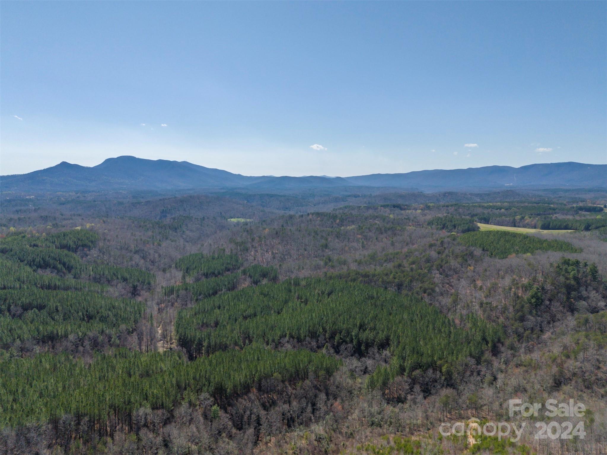 Acreage at 0 N Lynch Road SW, Mill Spring, photo 14 of 17