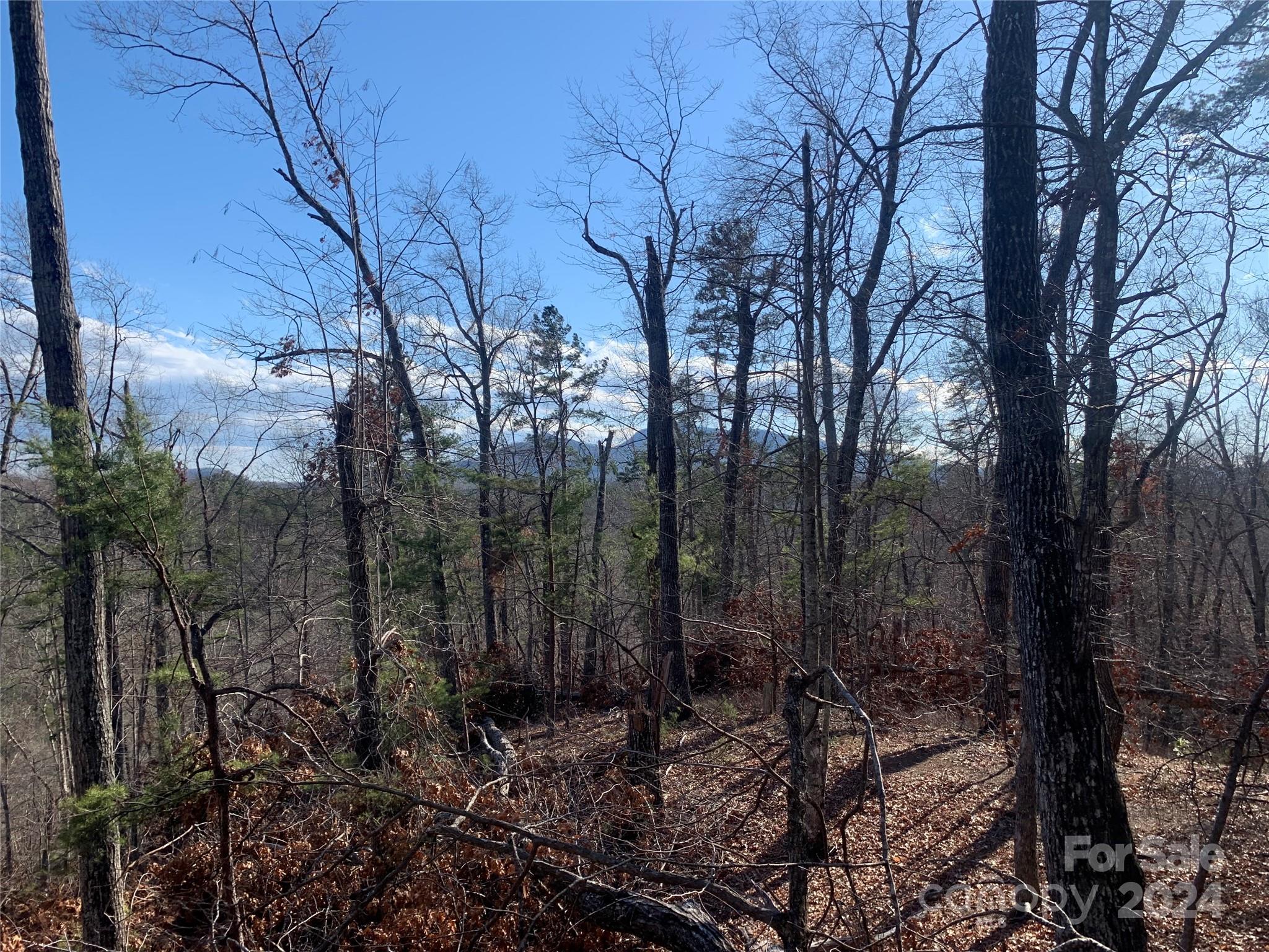 Acreage at 0 N Lynch Road SW, Mill Spring, photo 16 of 17