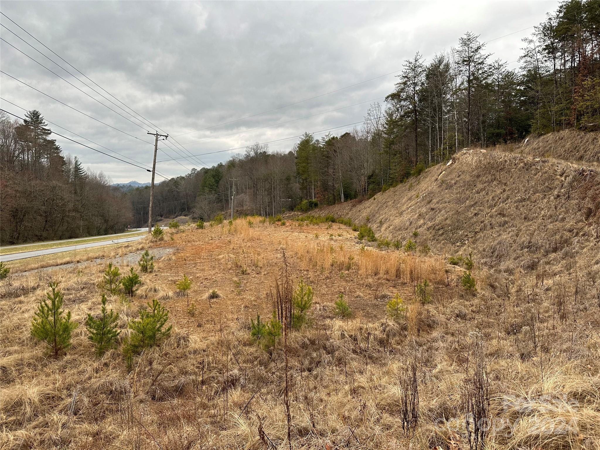 Unimproved Commercial at 000 Hwy 19 W Highway W, Bryson City, photo 6 of 12