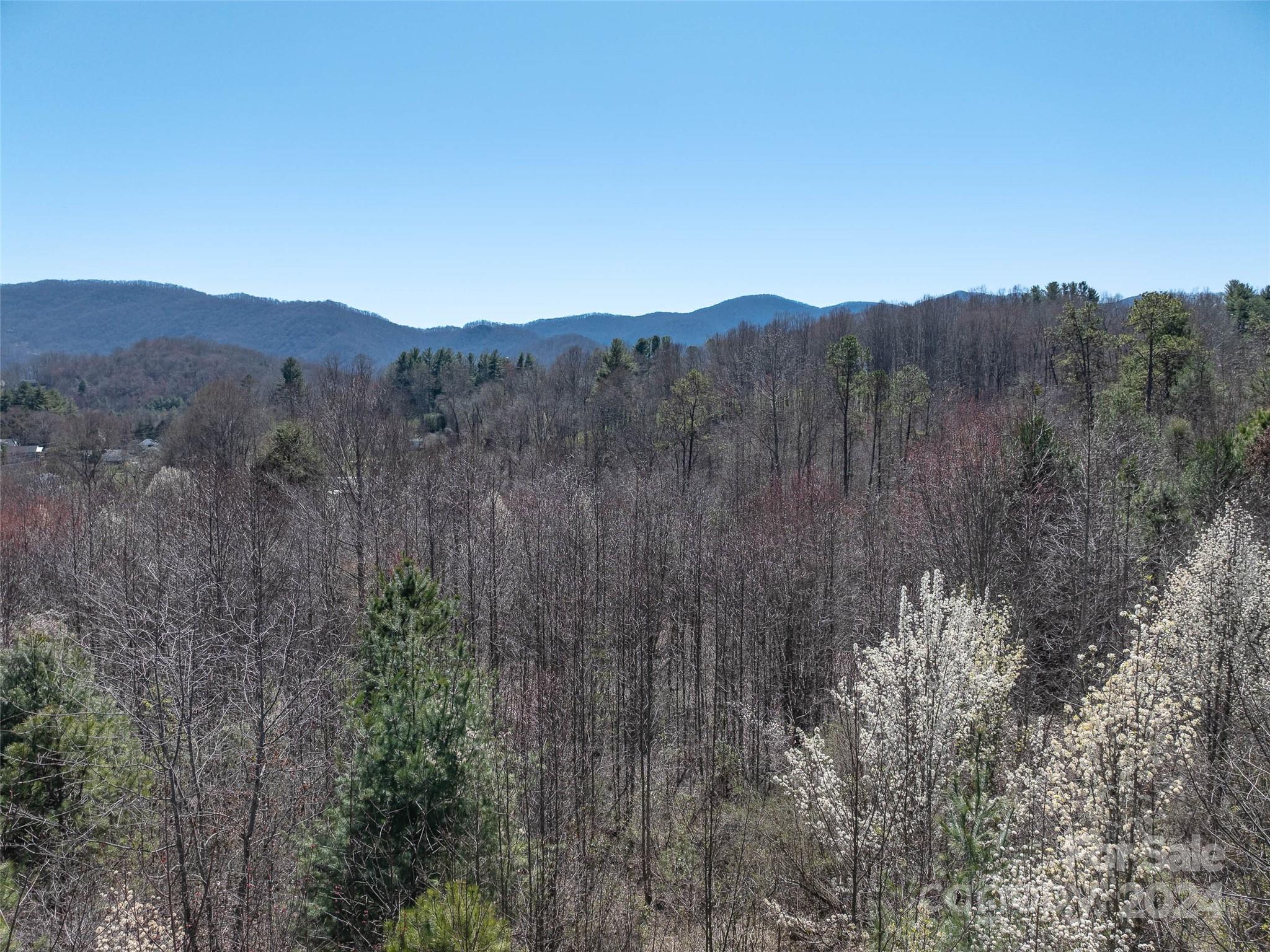 Acreage at 00 Woodland Drive, Waynesville, photo 10 of 19