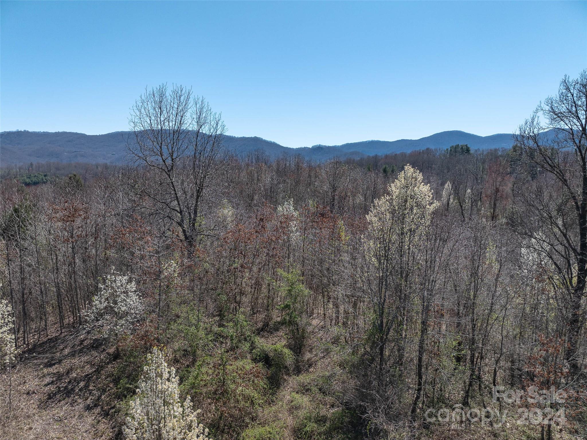 Acreage at 00 Woodland Drive, Waynesville, photo 13 of 19