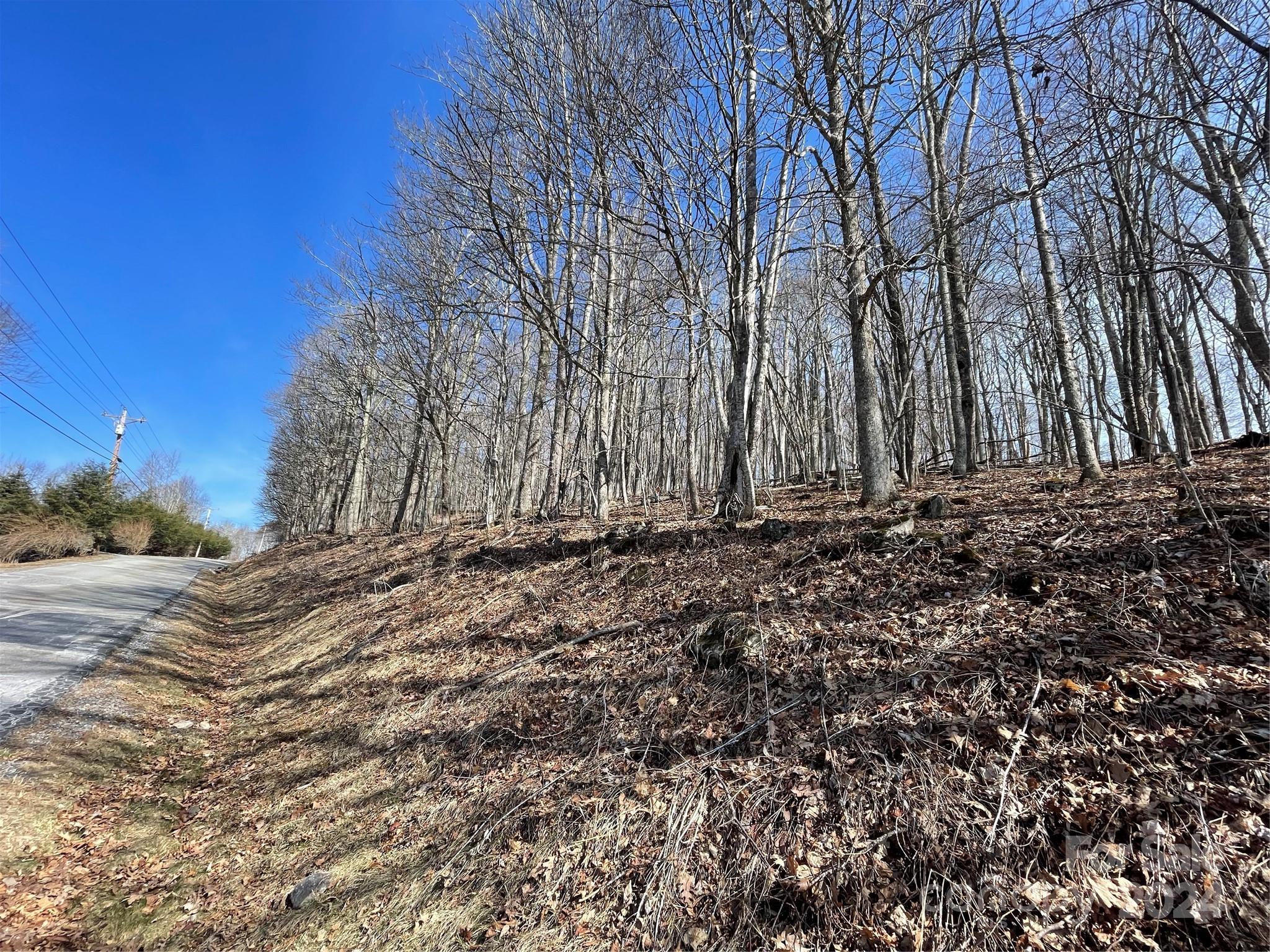 Lot at 000 El Miner Drive, Mars Hill, photo 2 of 25