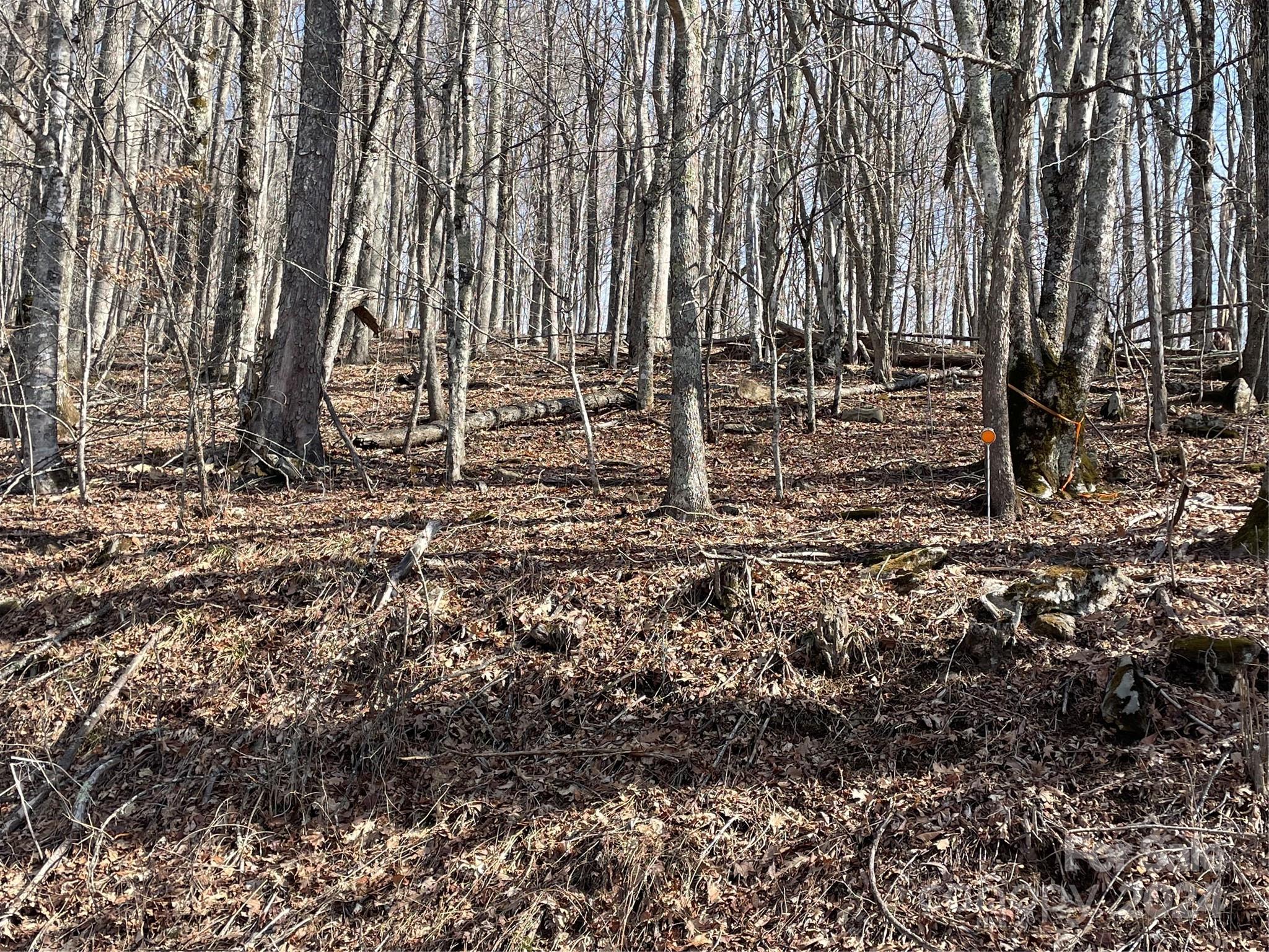 Lot at 000 El Miner Drive, Mars Hill, photo 3 of 25