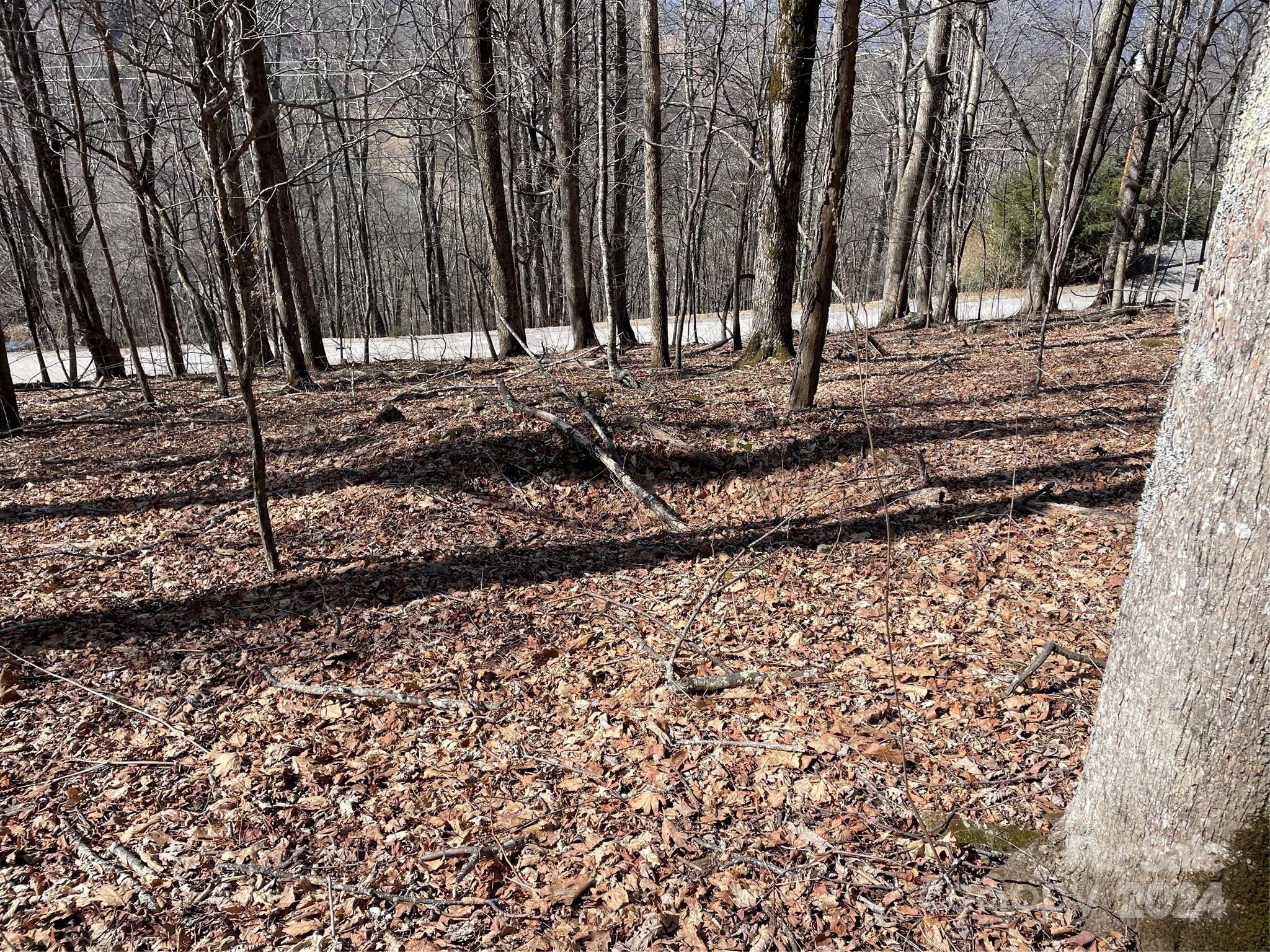 Lot at 000 El Miner Drive, Mars Hill, photo 6 of 25