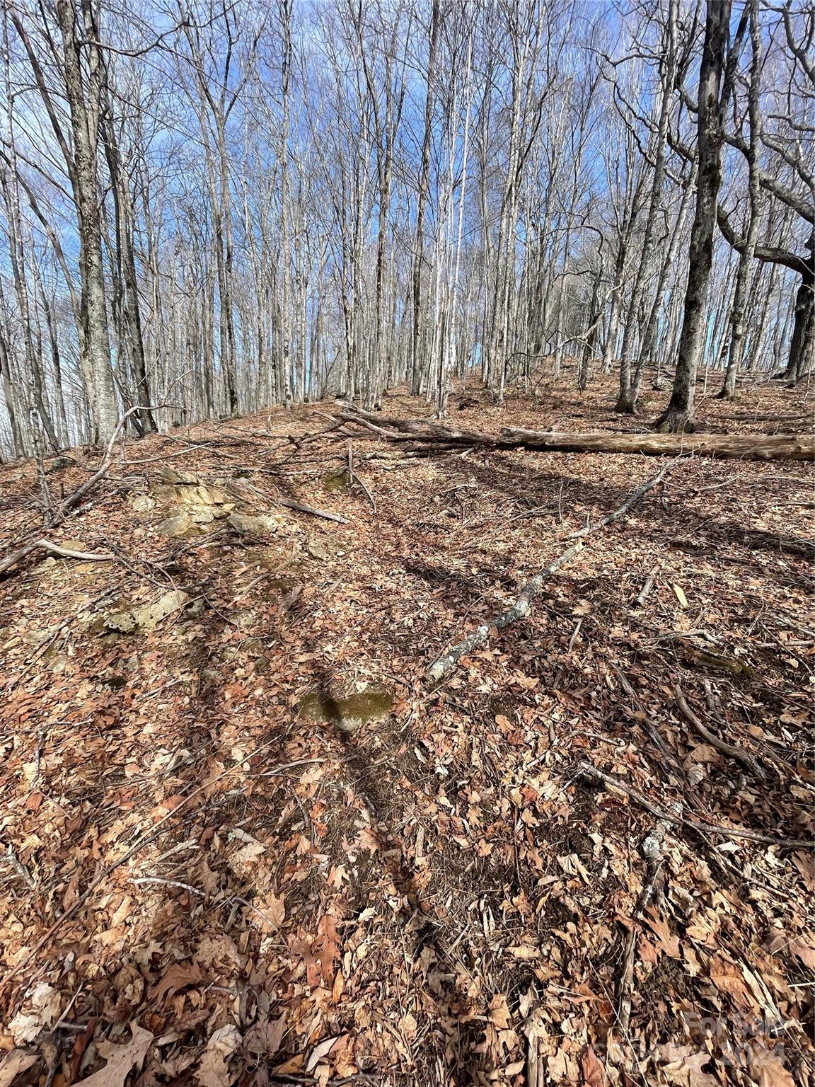 Lot at 000 El Miner Drive, Mars Hill, photo 10 of 25