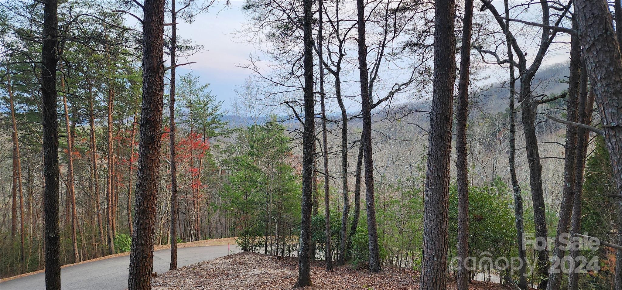 Lot at Lot 34 Wilderness Creek Way, Murphy