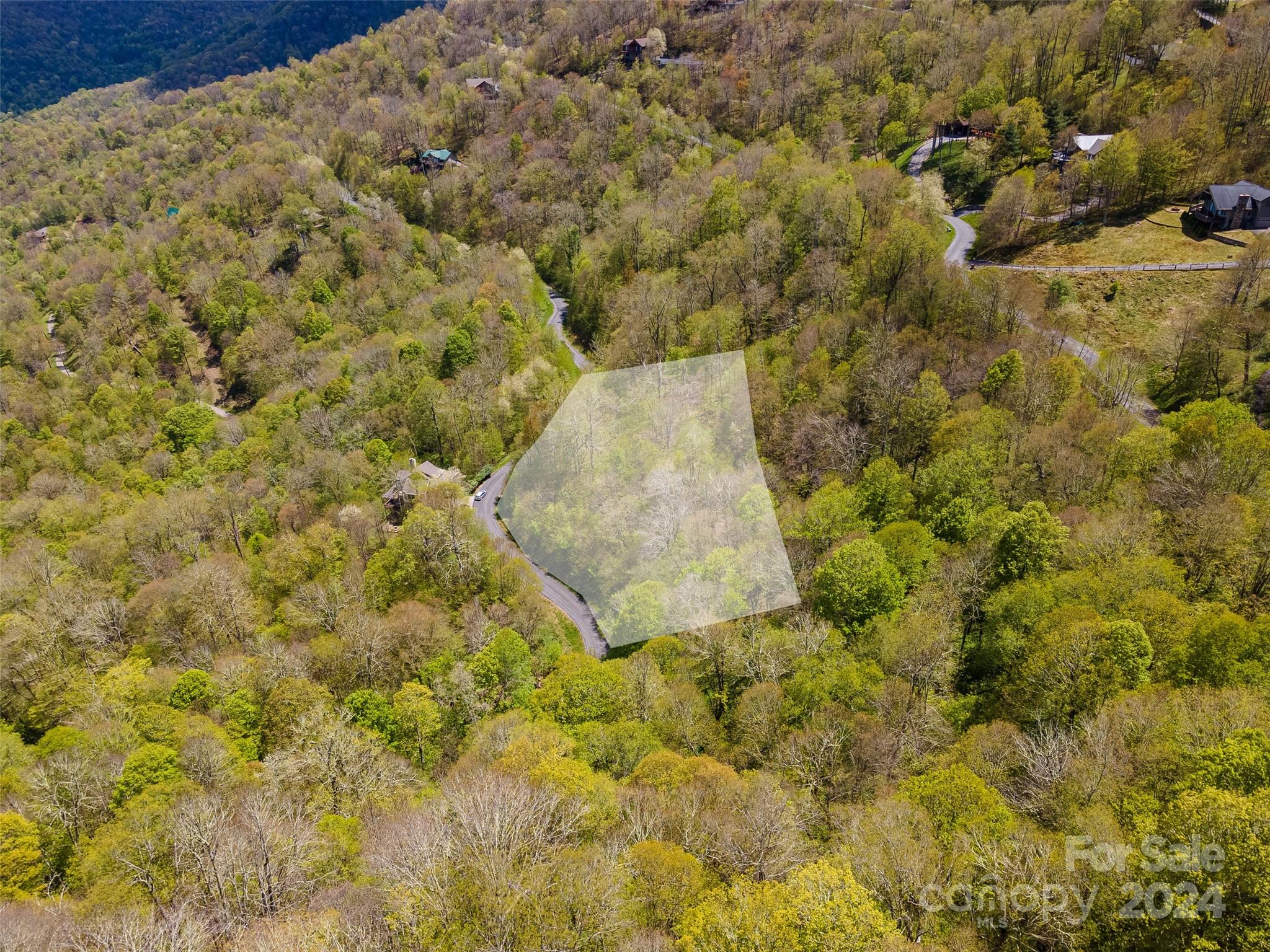 Lot at 93 Goldenleaf Road, Mars Hill, photo 4 of 22