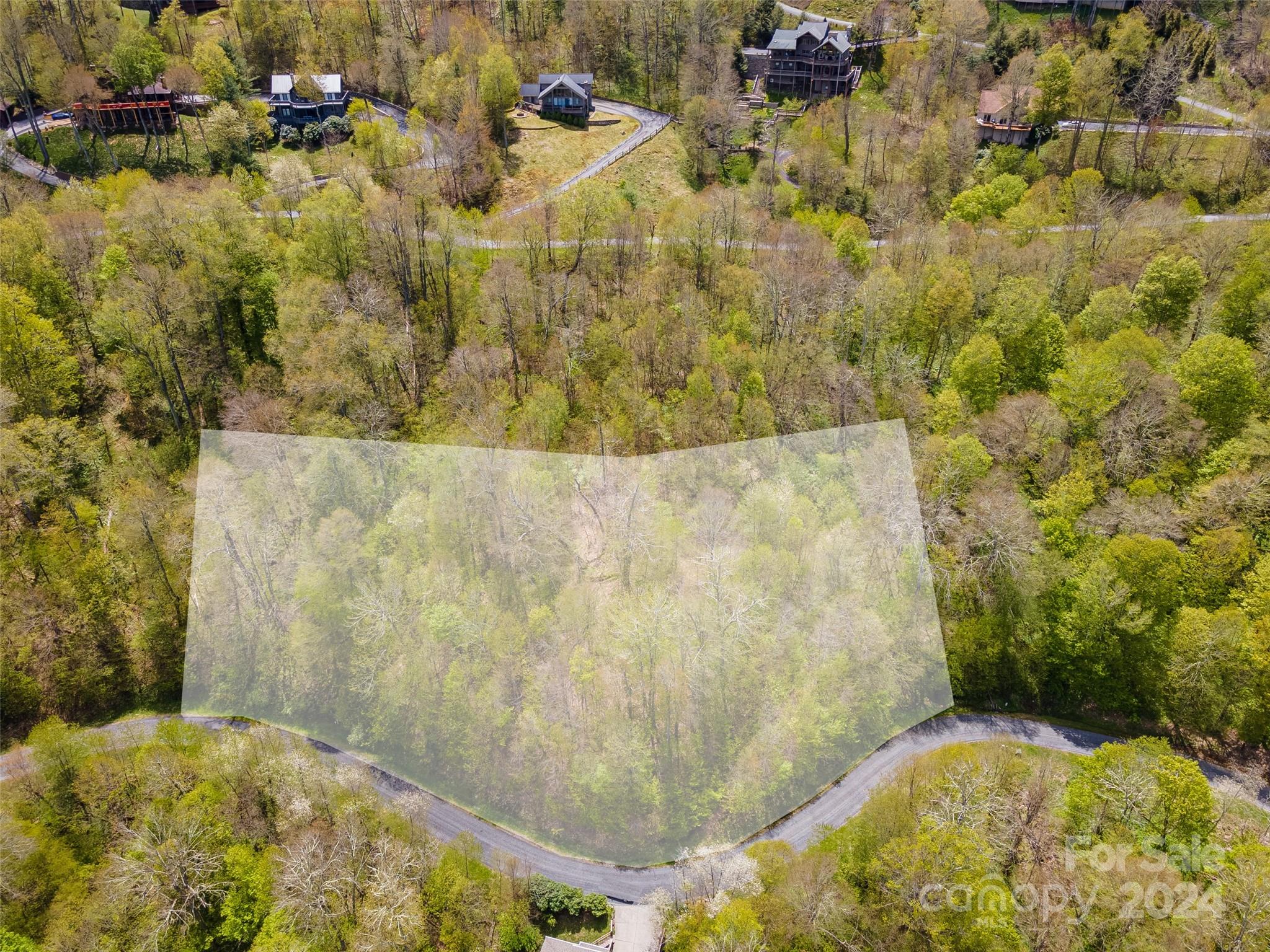 Lot at 93 Goldenleaf Road, Mars Hill, photo 6 of 22