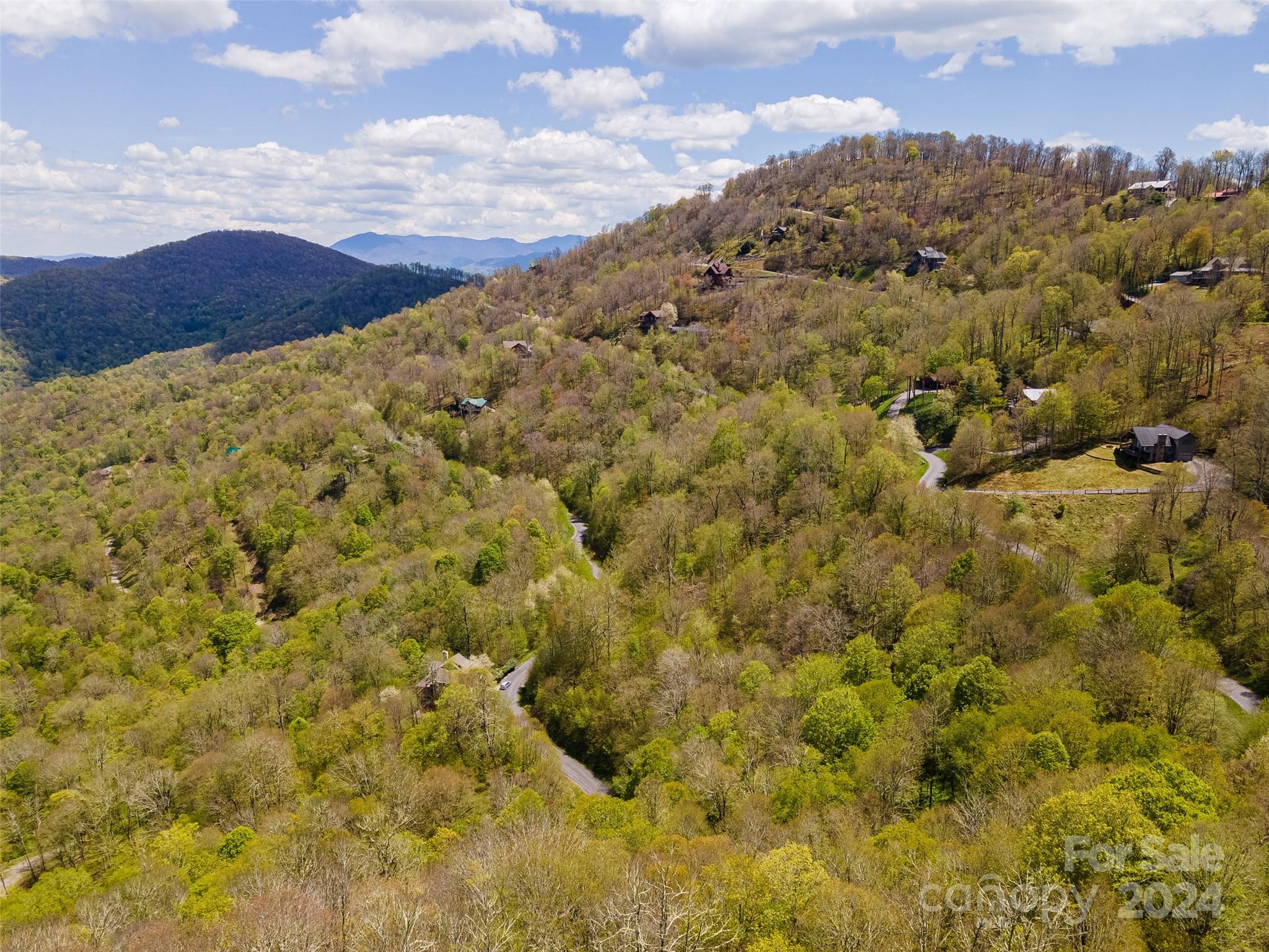 Lot at 93 Goldenleaf Road, Mars Hill, photo 14 of 22