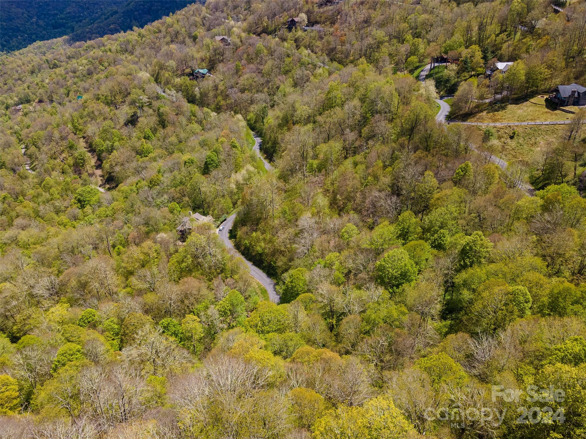 Lot at 93 Goldenleaf Road, Mars Hill, photo 15 of 22