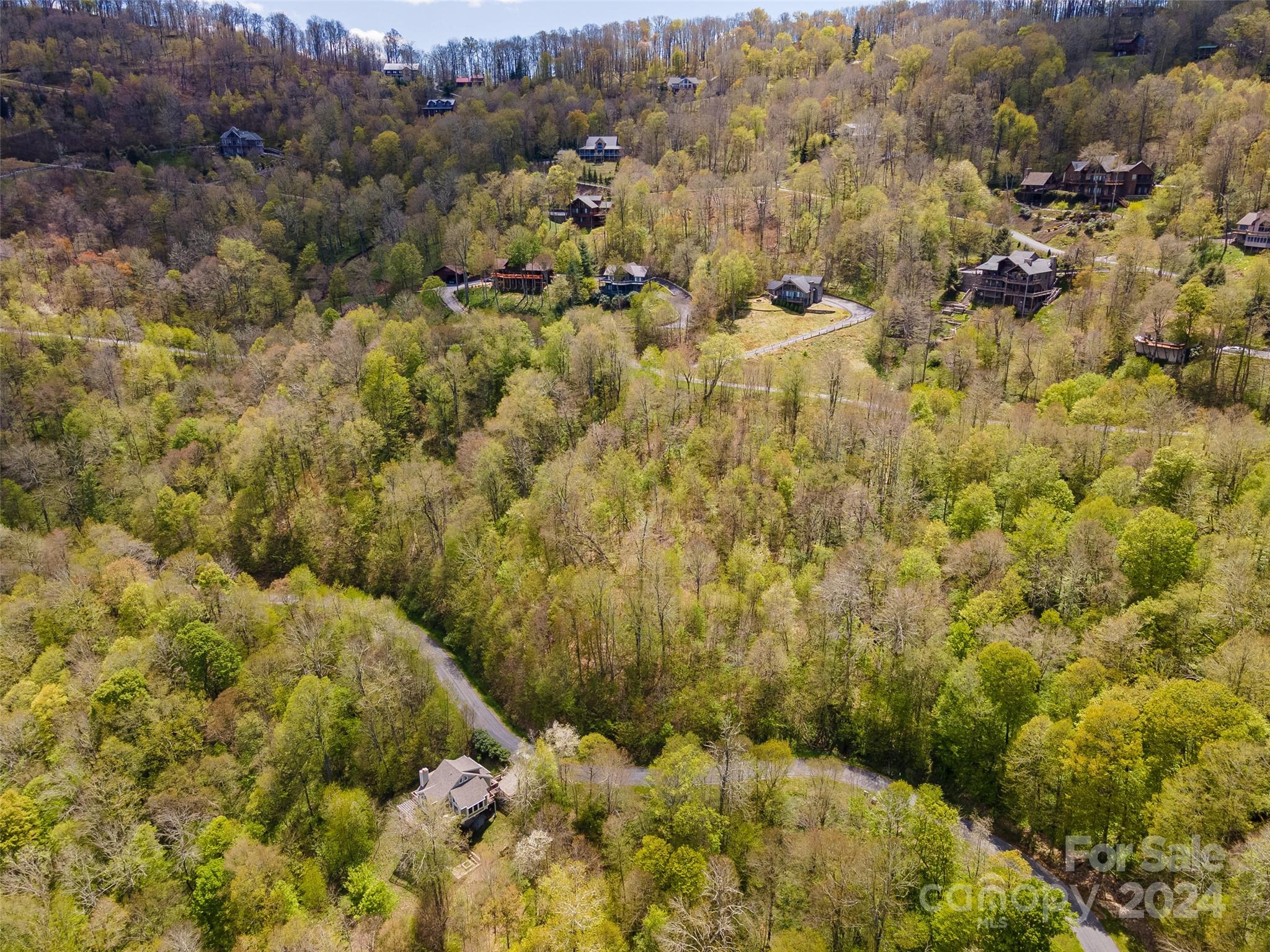 Lot at 93 Goldenleaf Road, Mars Hill, photo 17 of 22