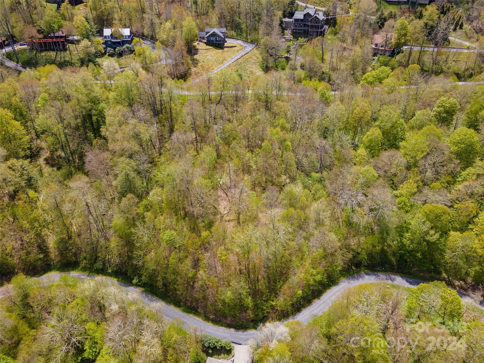 Lot at 93 Goldenleaf Road, Mars Hill, photo 18 of 22