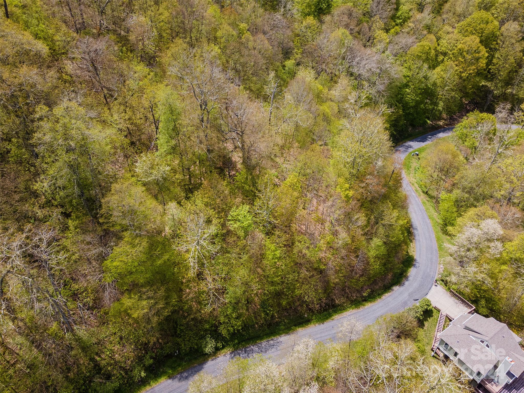 Lot at 93 Goldenleaf Road, Mars Hill, photo 19 of 22