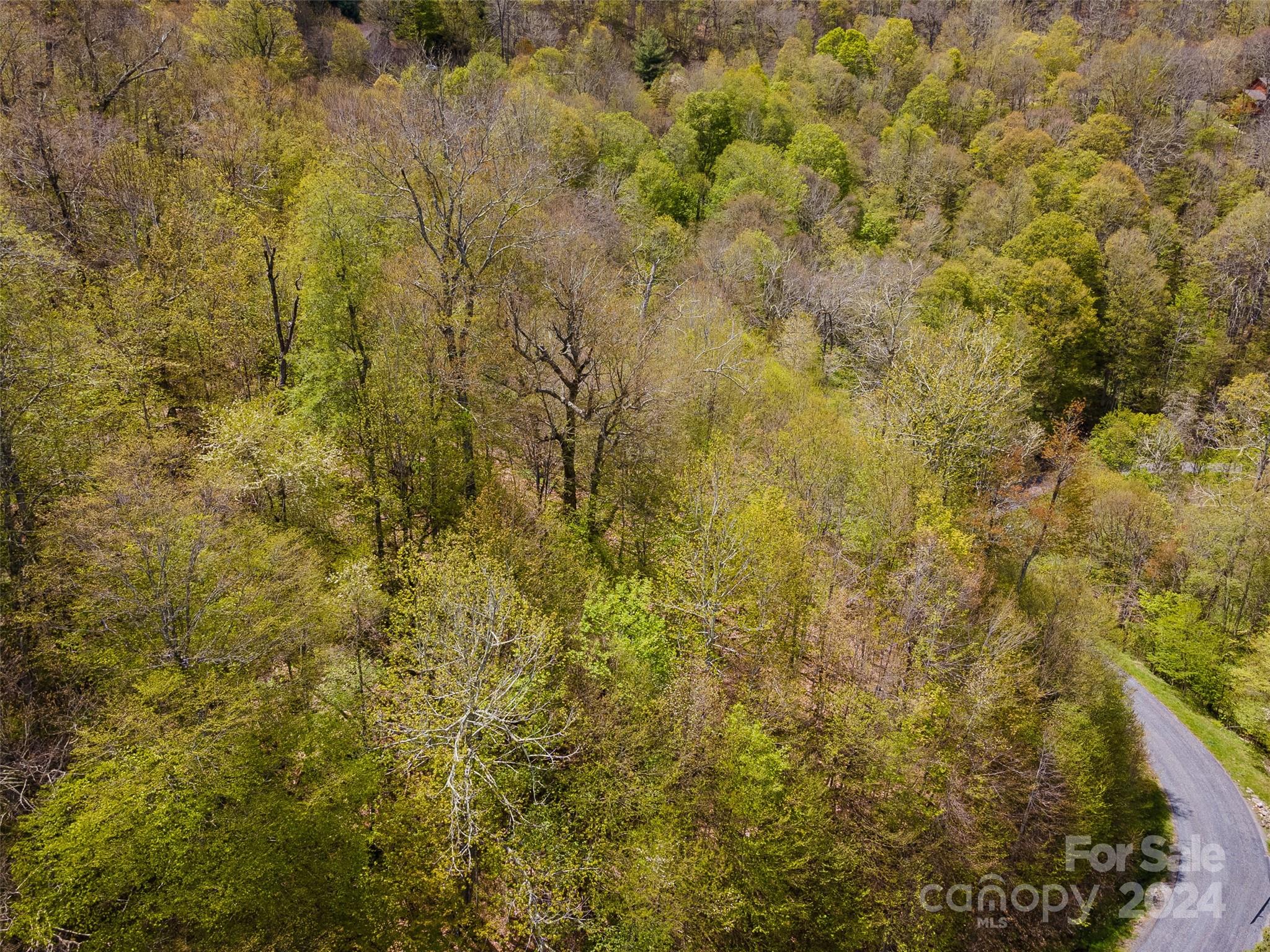 Lot at 93 Goldenleaf Road, Mars Hill, photo 20 of 22
