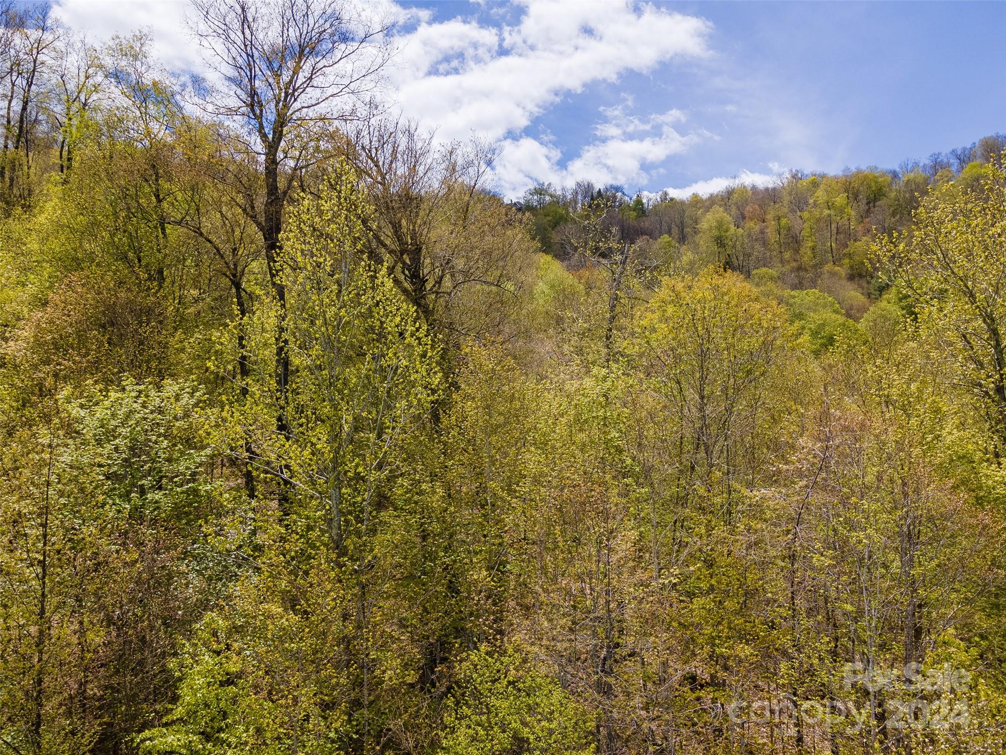 Lot at 93 Goldenleaf Road, Mars Hill, photo 21 of 22