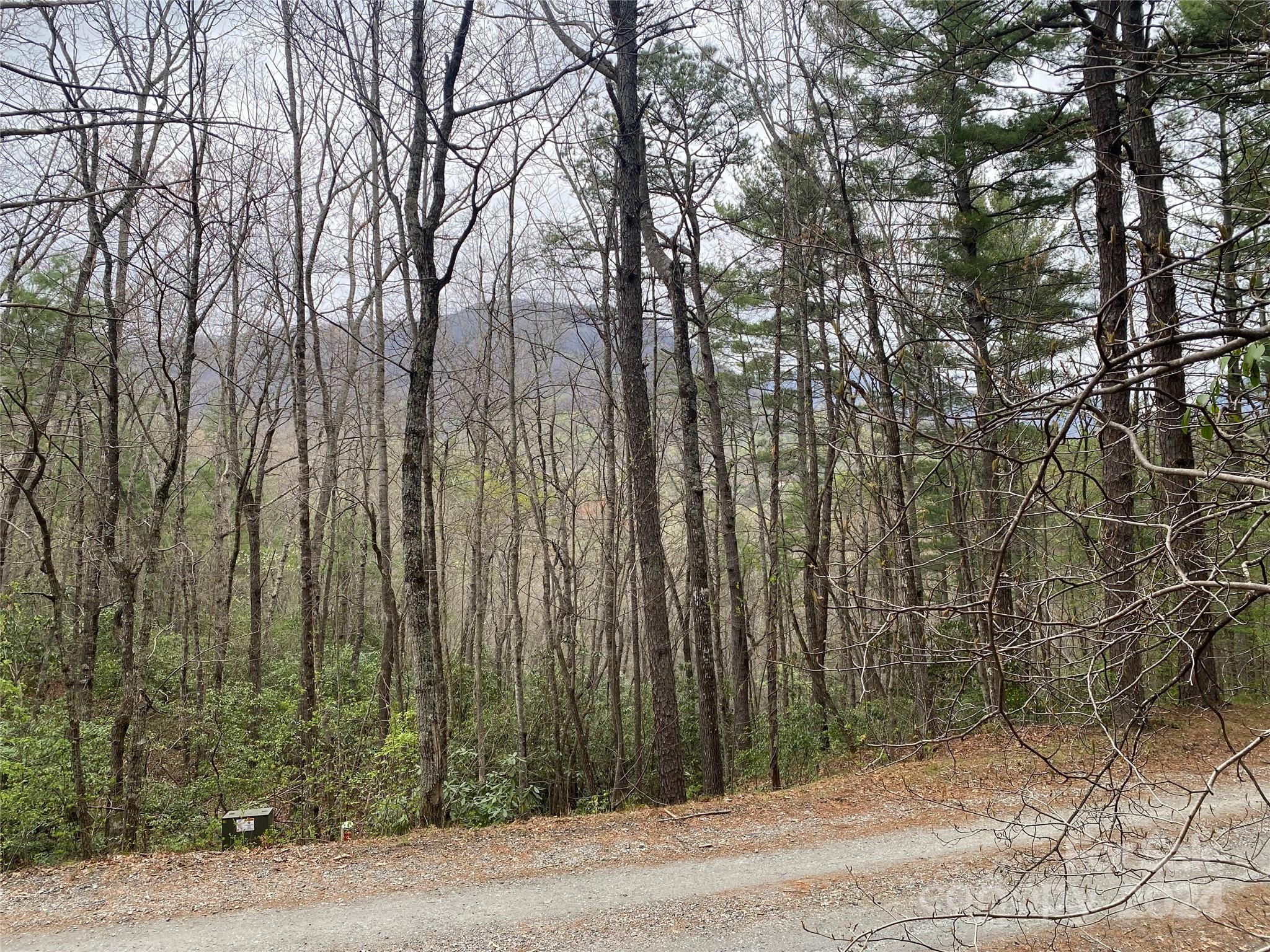 Mountain views from lot.... - Lot 11 Fox Ridge Trail, Marion