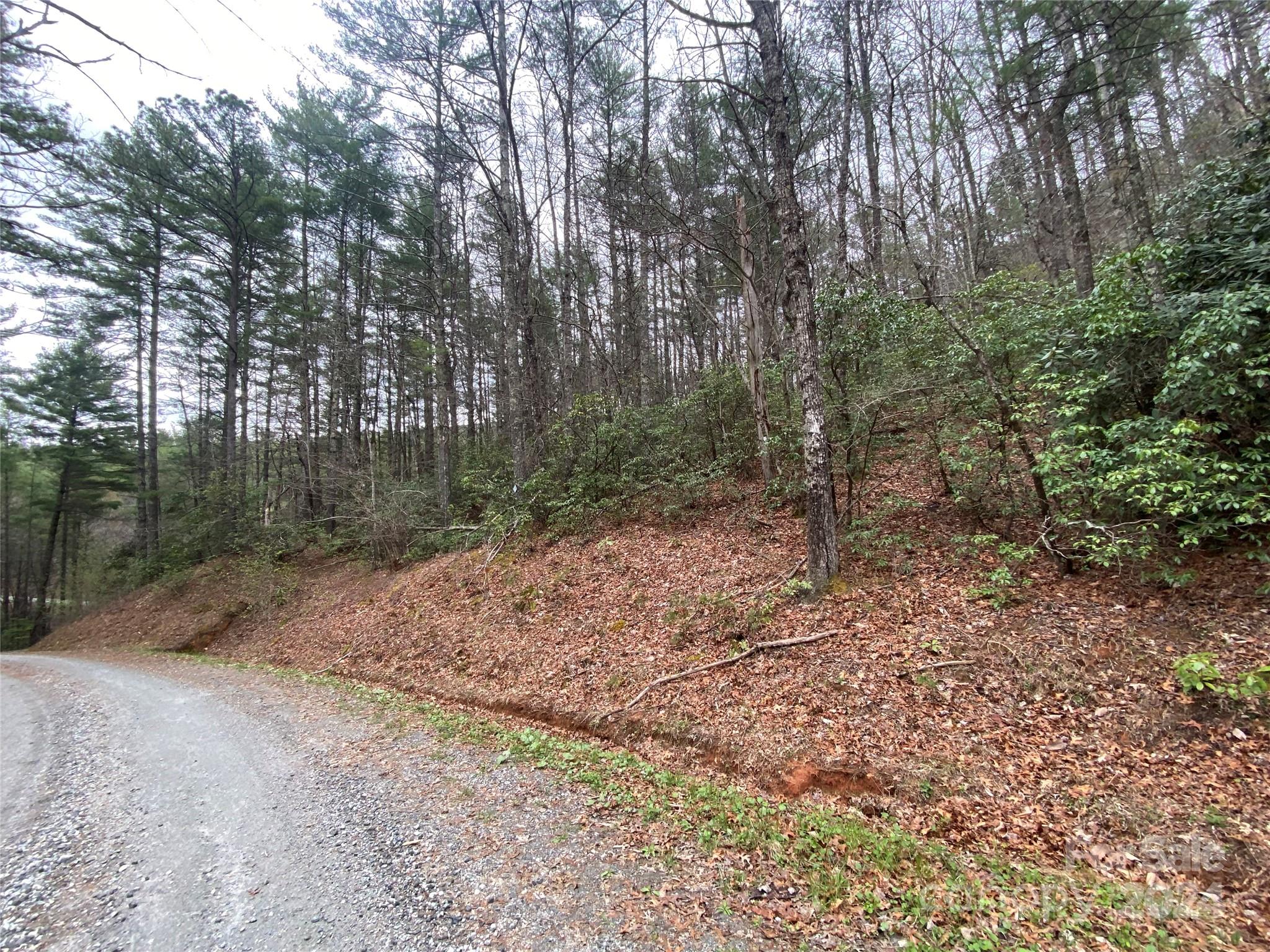 Lot at Lot 11 Fox Ridge Trail, Marion, photo 11 of 12