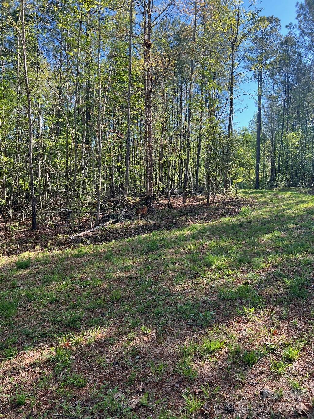 Lot at 00 Sanctuary Lane, Lilesville, photo 4 of 17