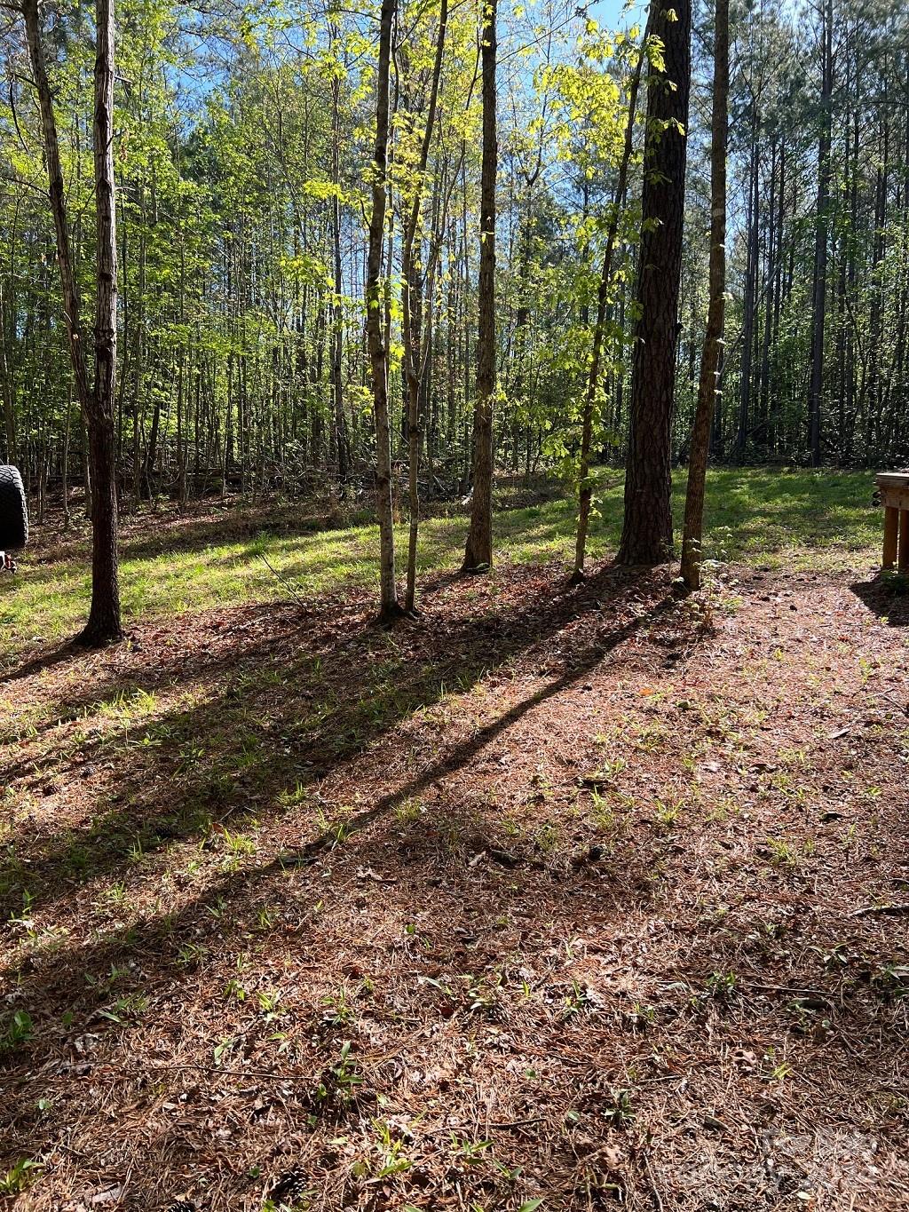 Lot at 00 Sanctuary Lane, Lilesville, photo 5 of 17