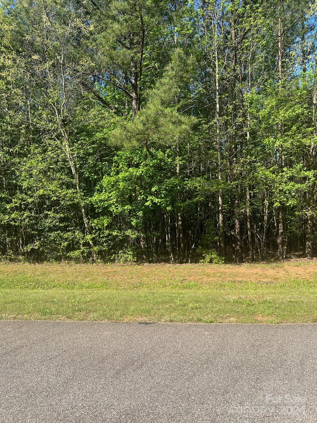 Lot at 00 Sanctuary Lane, Lilesville, photo 6 of 17