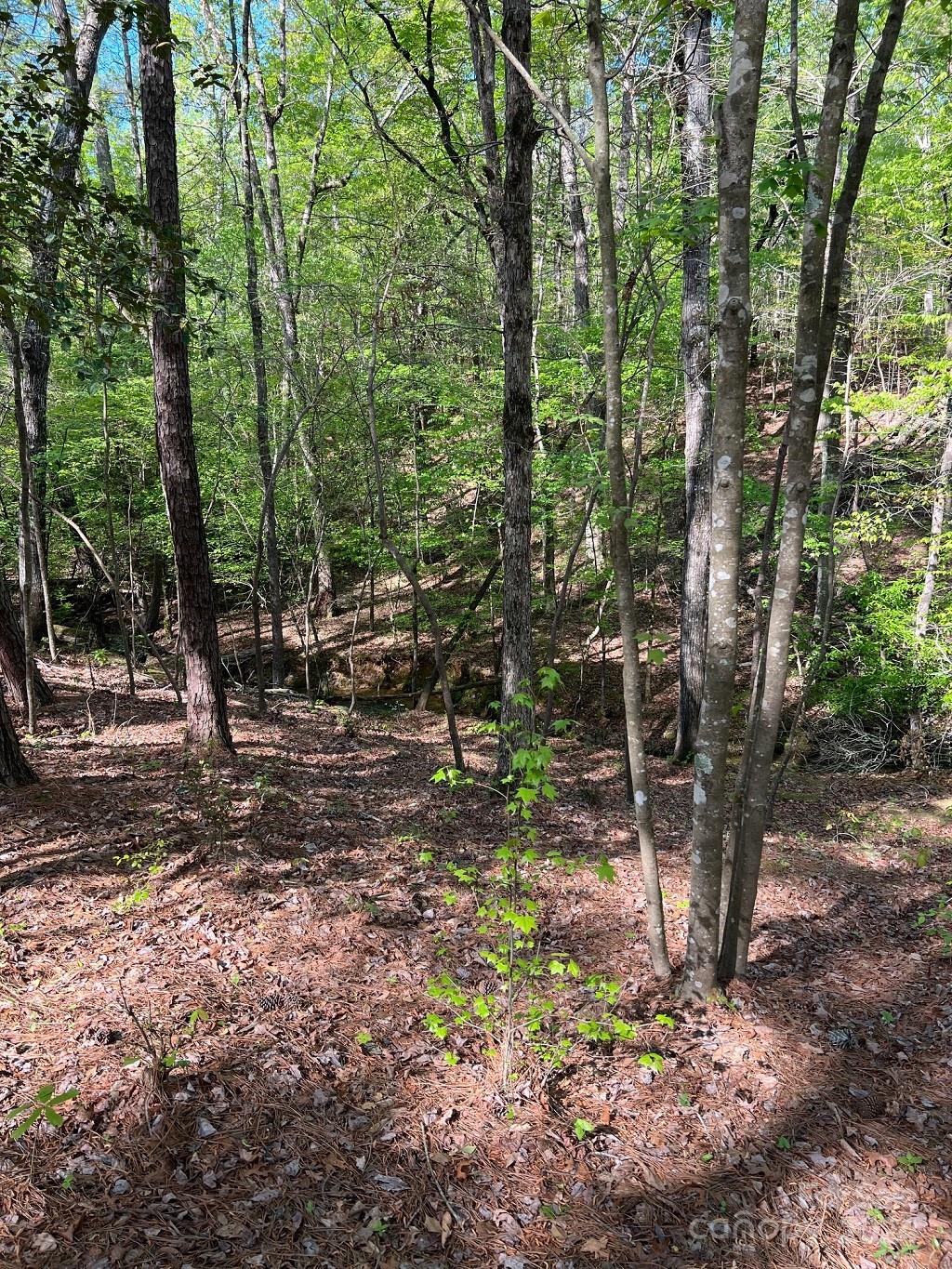 Lot at 00 Sanctuary Lane, Lilesville, photo 7 of 17