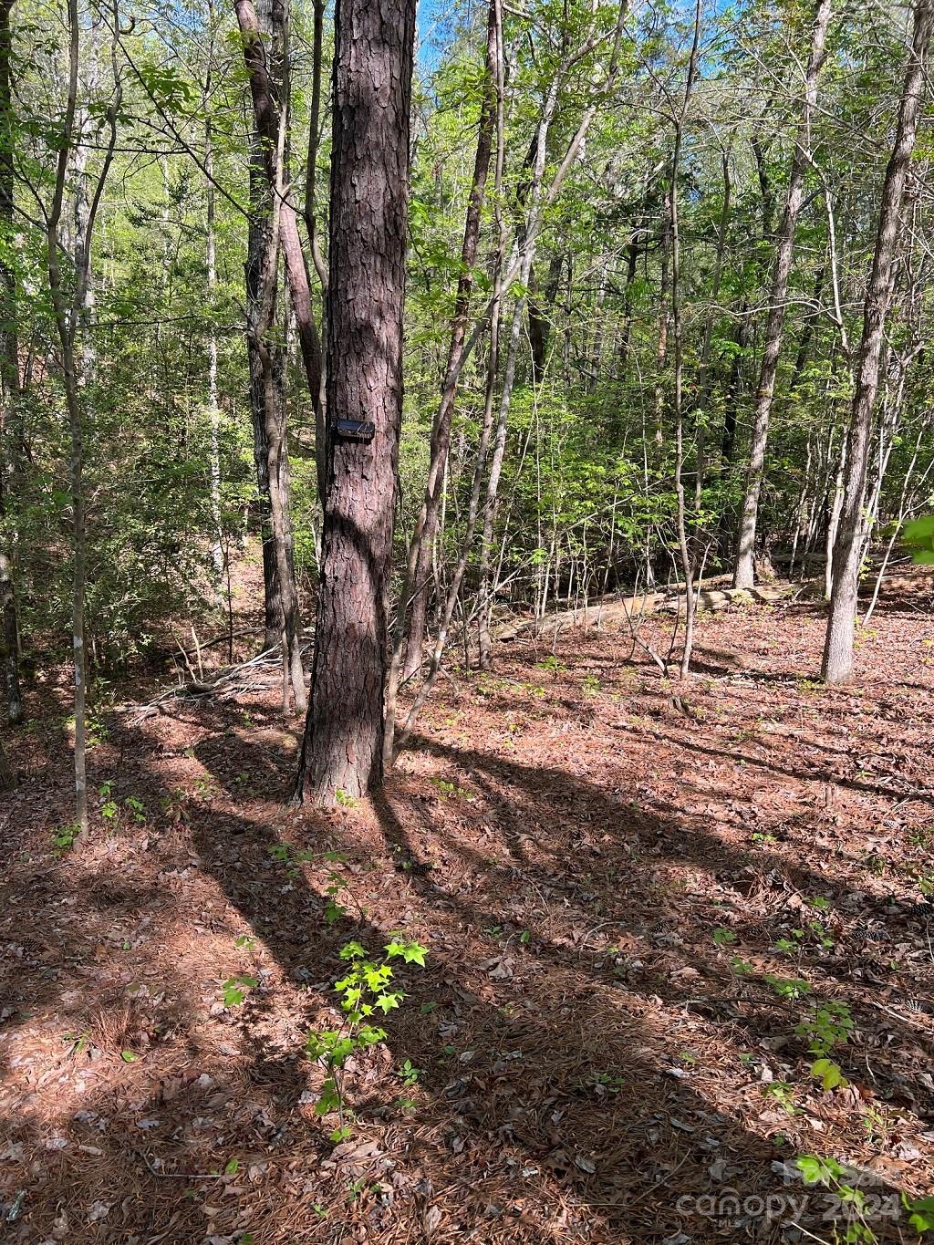 Lot at 00 Sanctuary Lane, Lilesville, photo 8 of 17