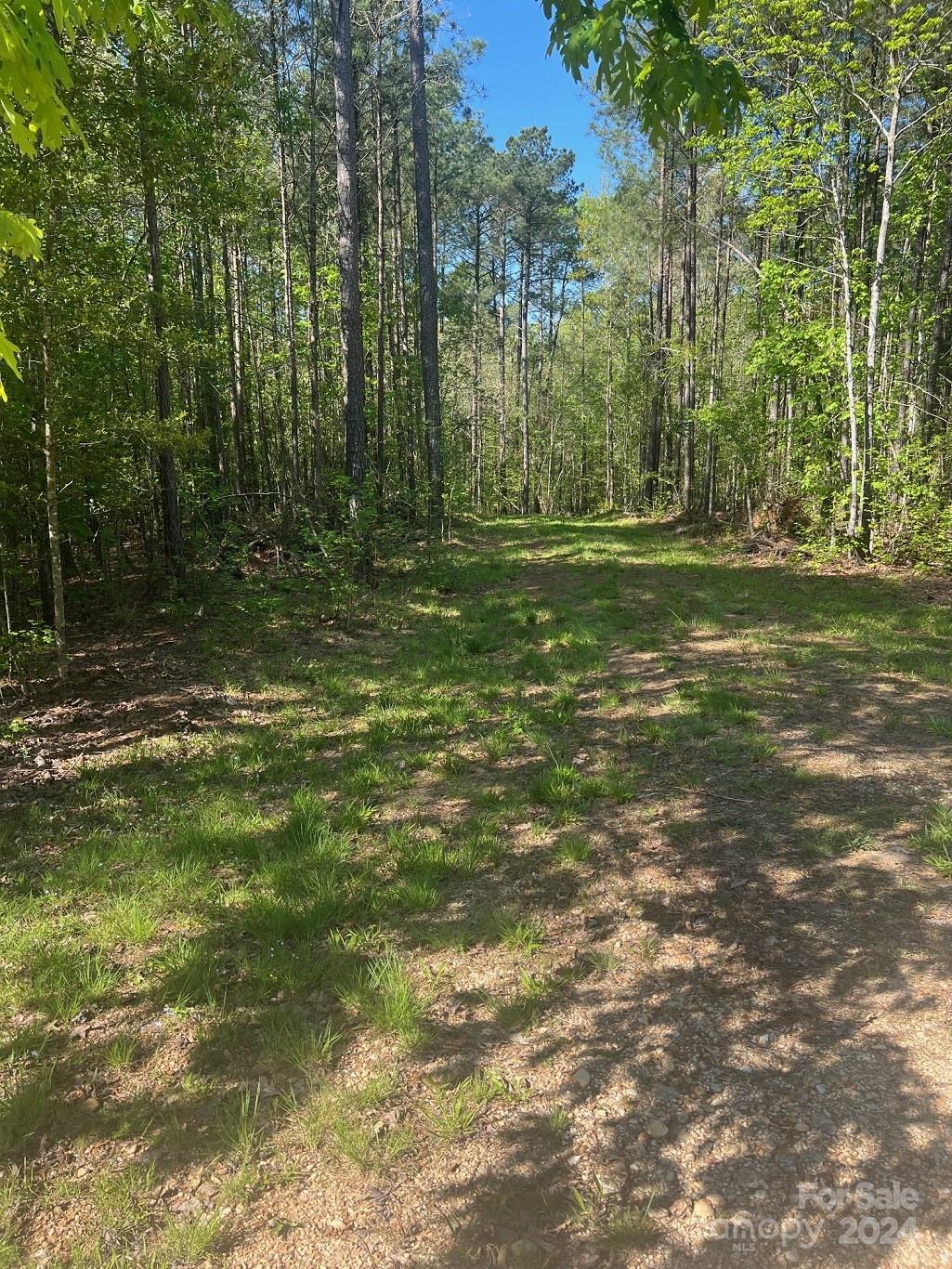 Lot at 00 Sanctuary Lane, Lilesville, photo 16 of 17
