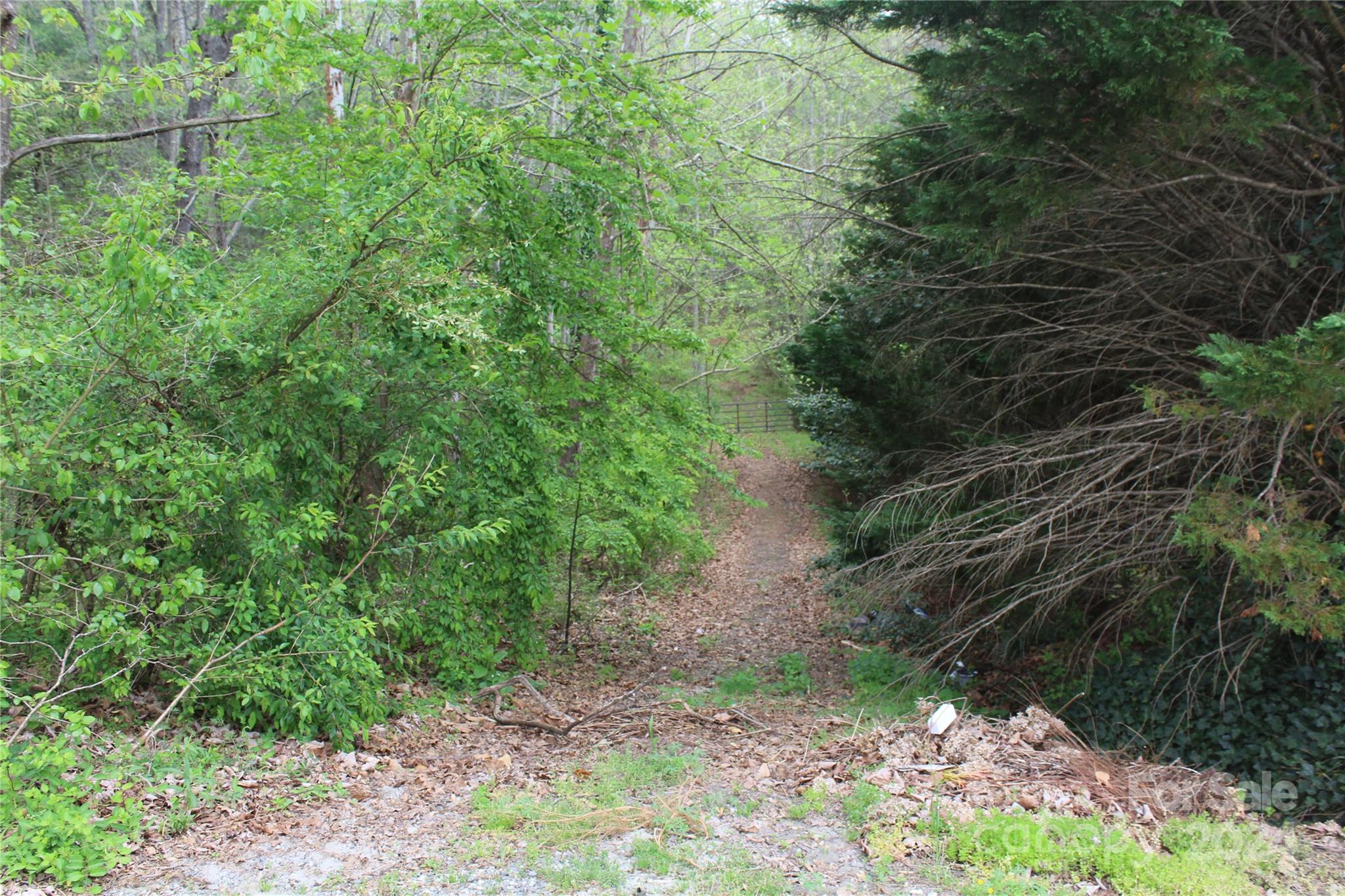 Entrance into woods down toward property - 350 Sycamore Avenue NW, Valdese