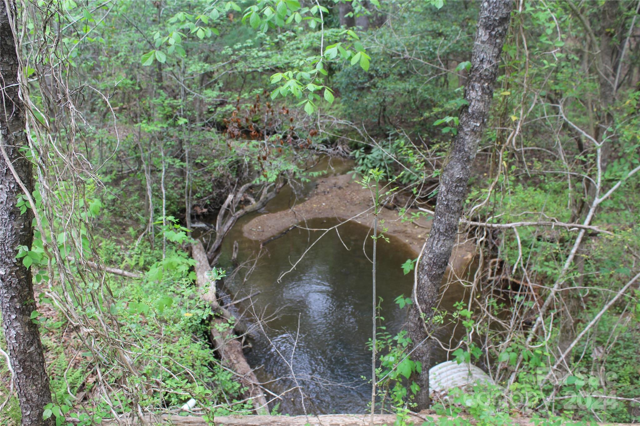 Stream/Creek Tract 6 - 350 Sycamore Avenue NW, Valdese