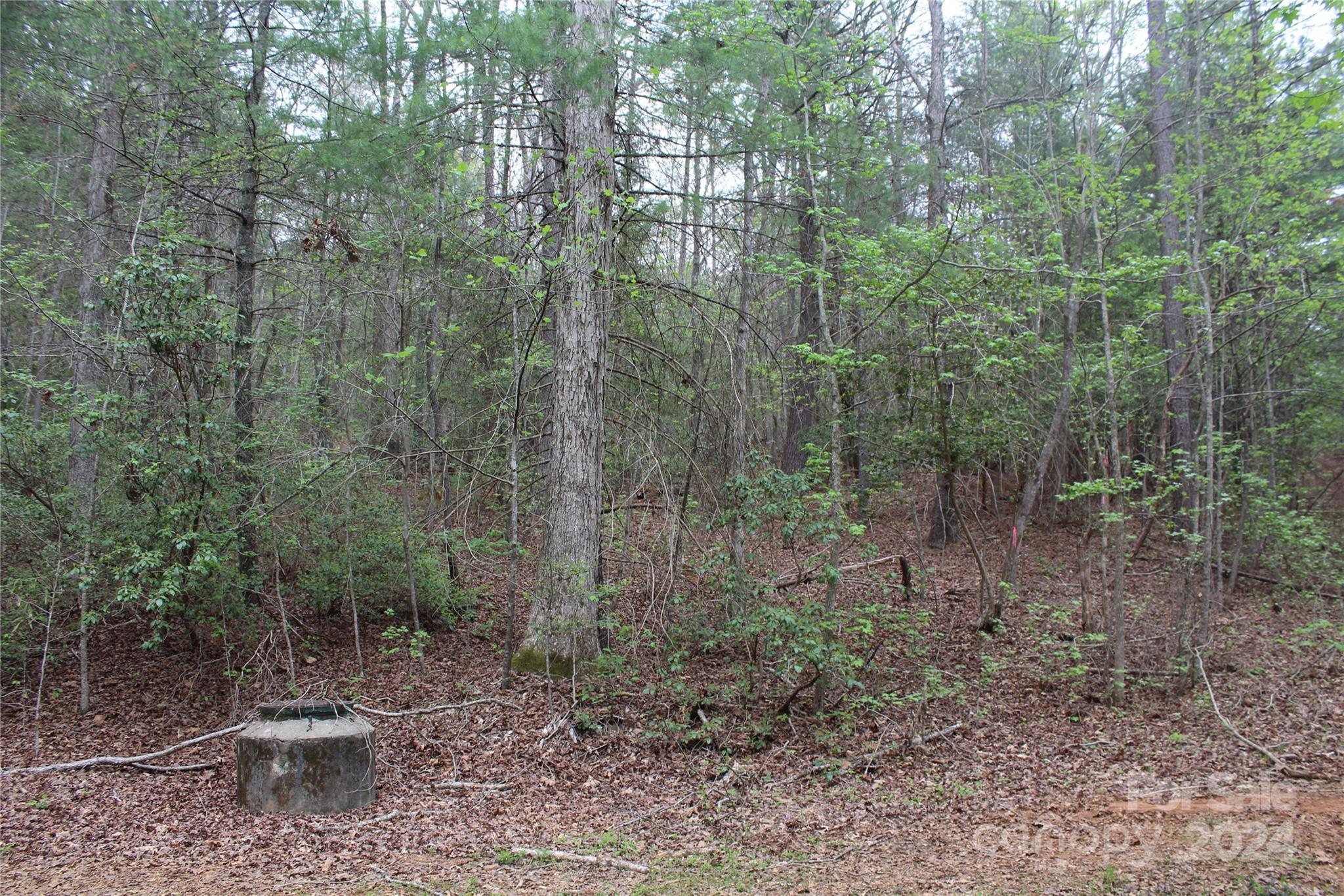 Acreage at 350 Sycamore Avenue NW, Valdese, photo 6 of 15
