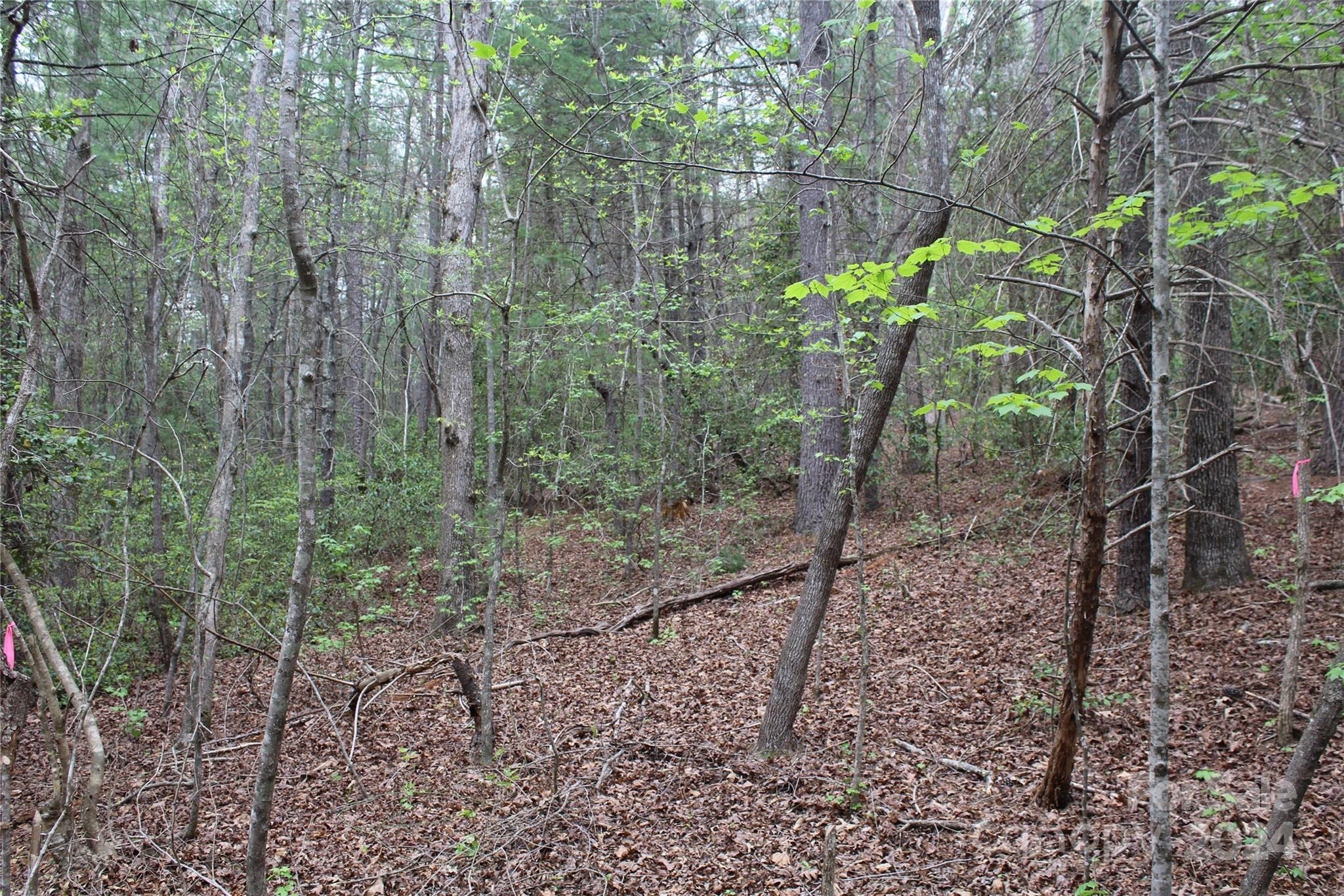 Acreage at 350 Sycamore Avenue NW, Valdese, photo 12 of 15