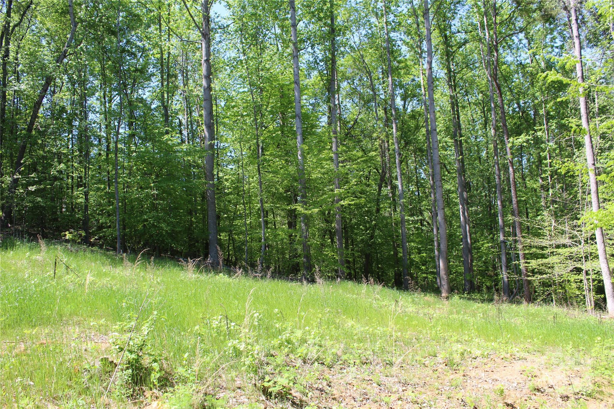 Lot at 0000 Davis Circle, Clover, photo 6 of 13