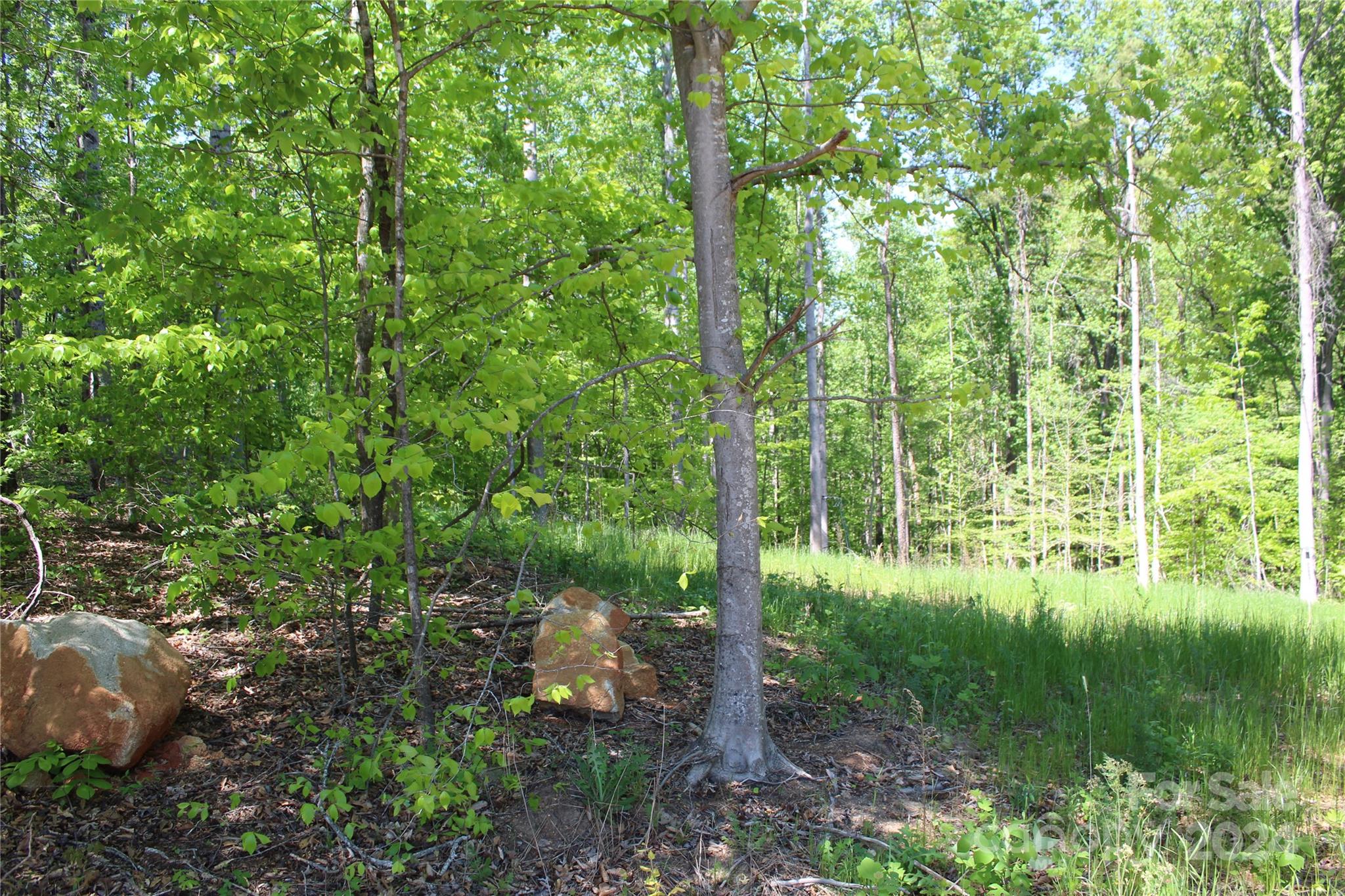 Lot at 0000 Davis Circle, Clover, photo 9 of 13