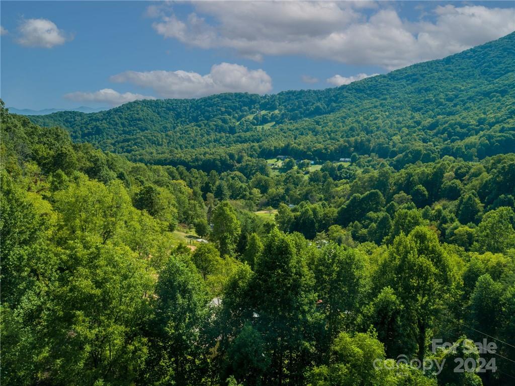 Acreage at 58 Grooms Road, Candler, photo 4 of 12
