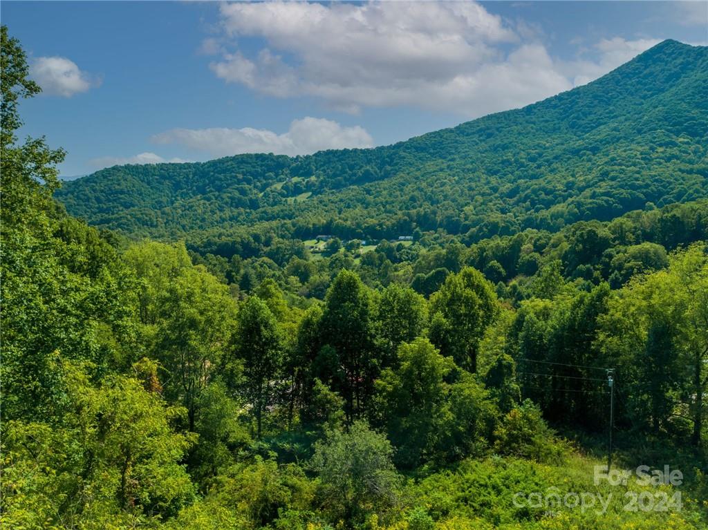 Acreage at 58 Grooms Road, Candler, photo 8 of 12