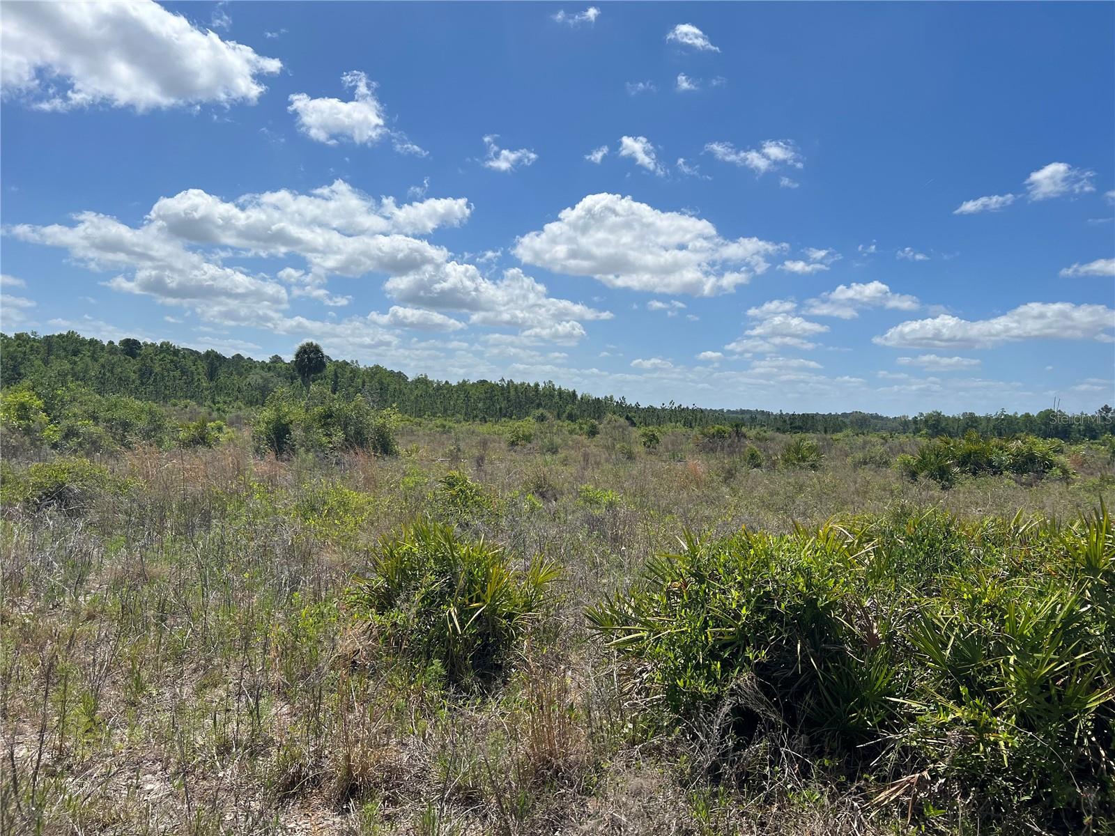 HWY 40