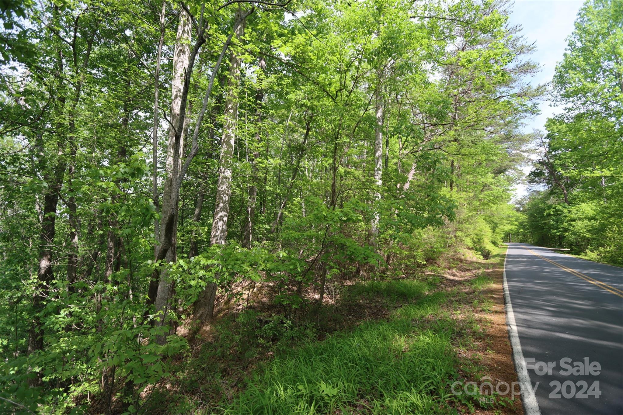 Lot at 00 Buffalo Shoals Road, Lake Lure, photo 2 of 13