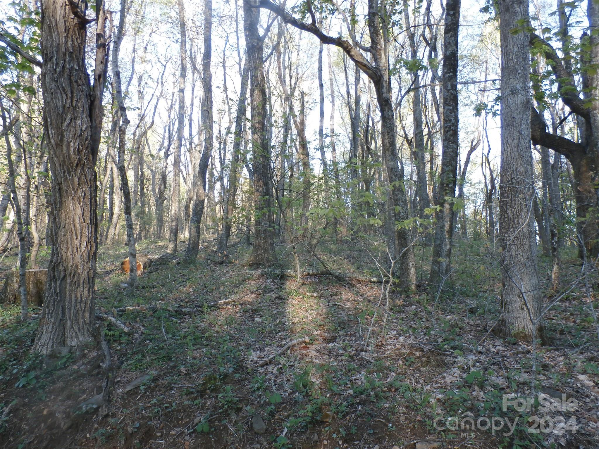 additional land - 288 Firetower Road, Spruce Pine