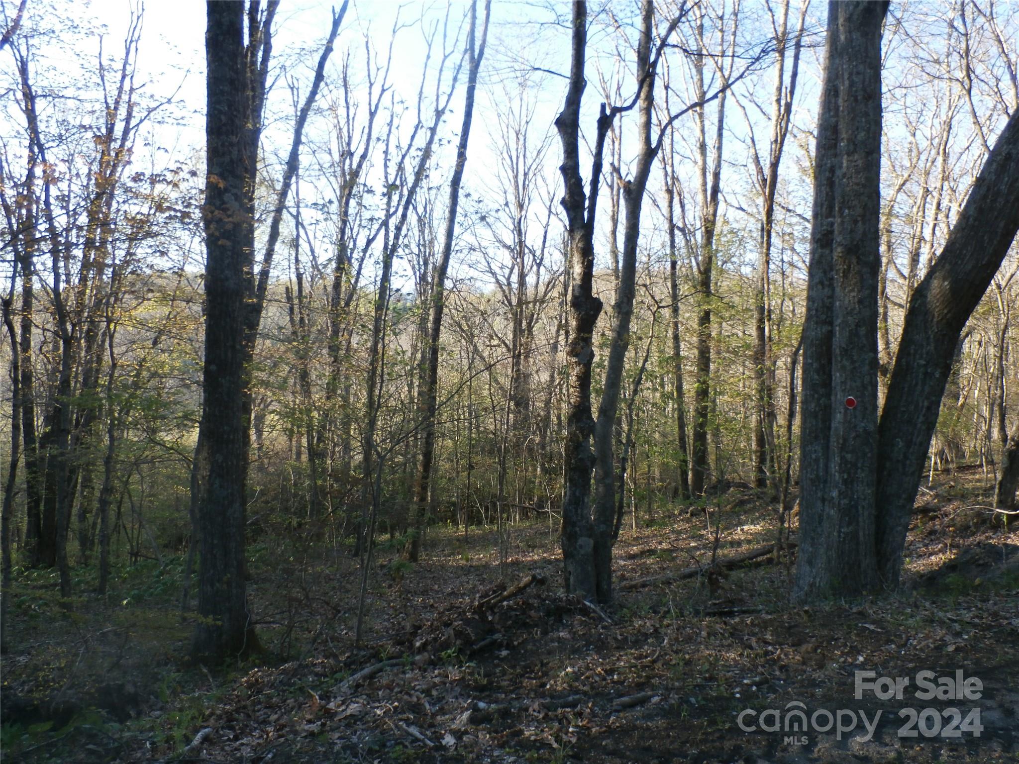 Single Family Residence at 288 Firetower Road, Spruce Pine, photo 32 of 47