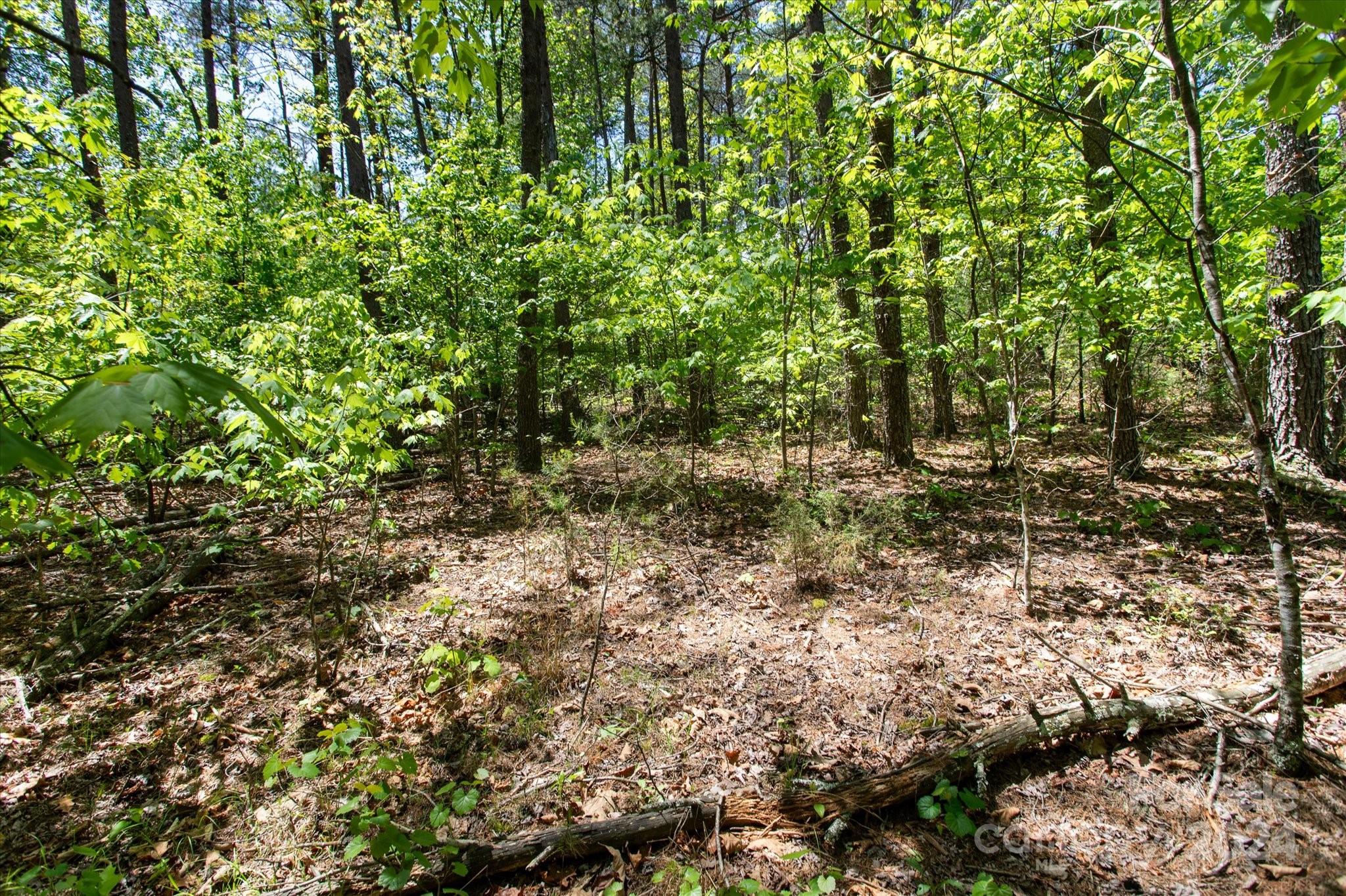 Lot at 99999 Hickory Loop, Rutherfordton, photo 3 of 14